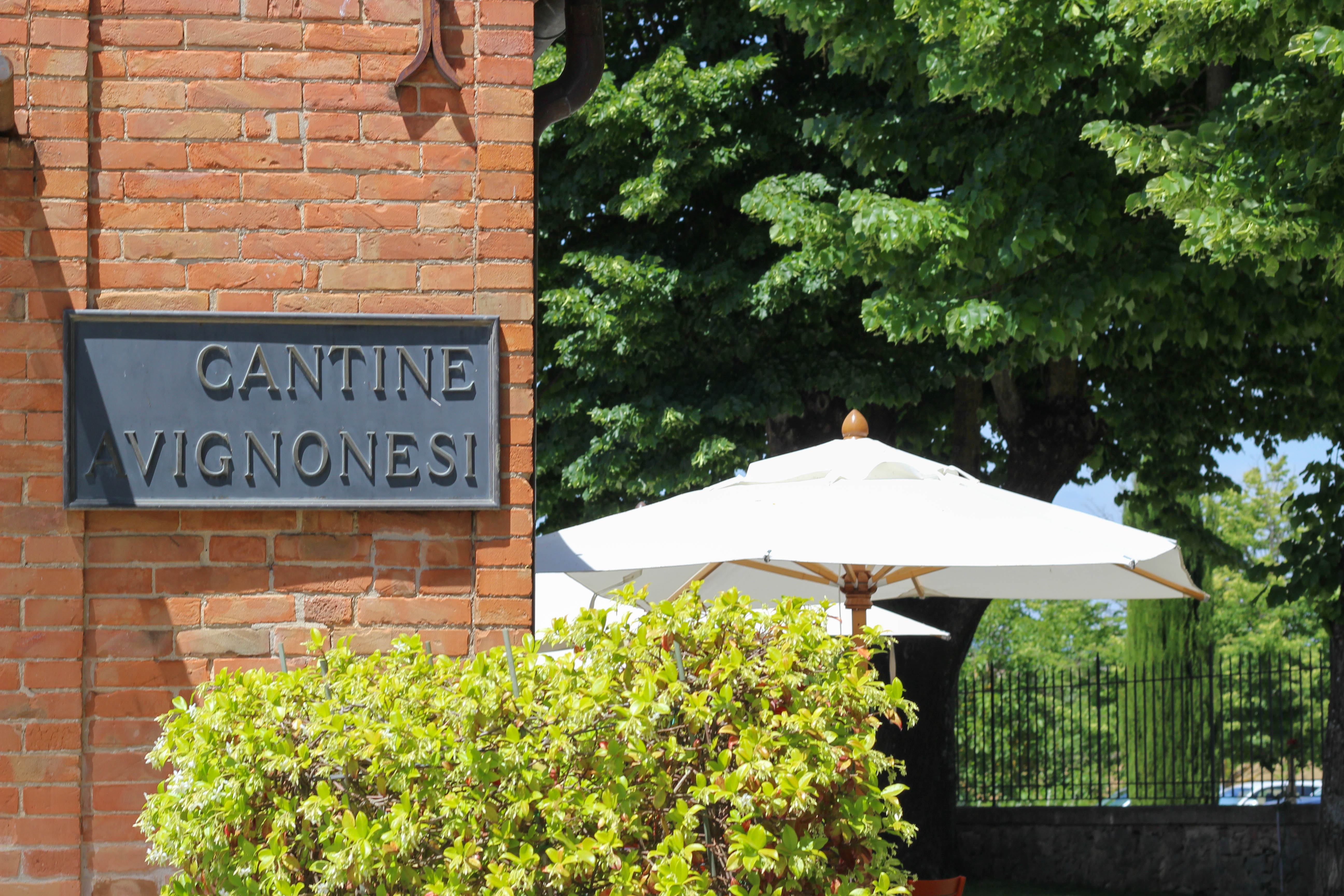 Avignonesi Tuscany Winery Italy