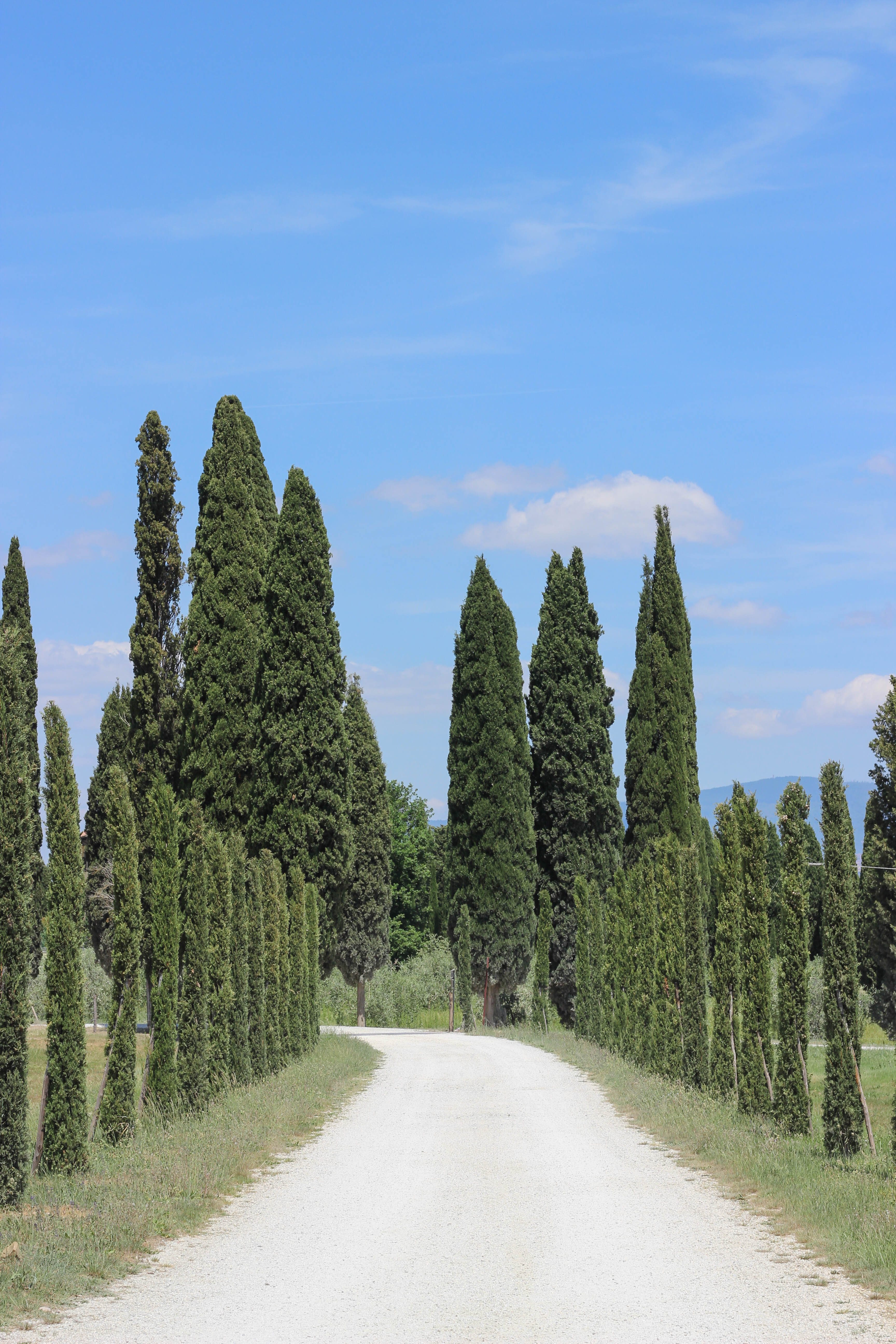 Avignonesi Tuscany Winery Italy