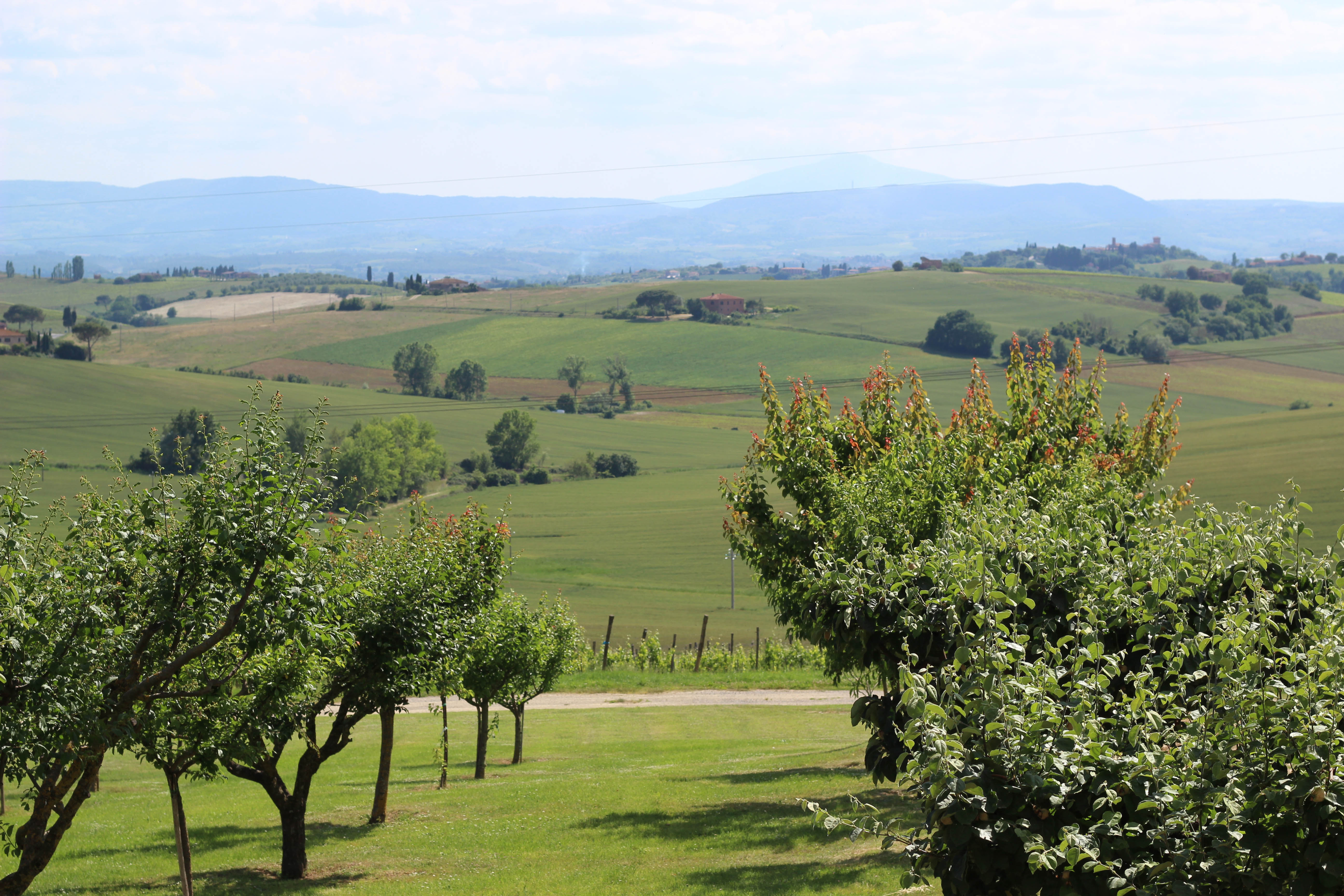 Avignonesi Tuscany Winery Italy
