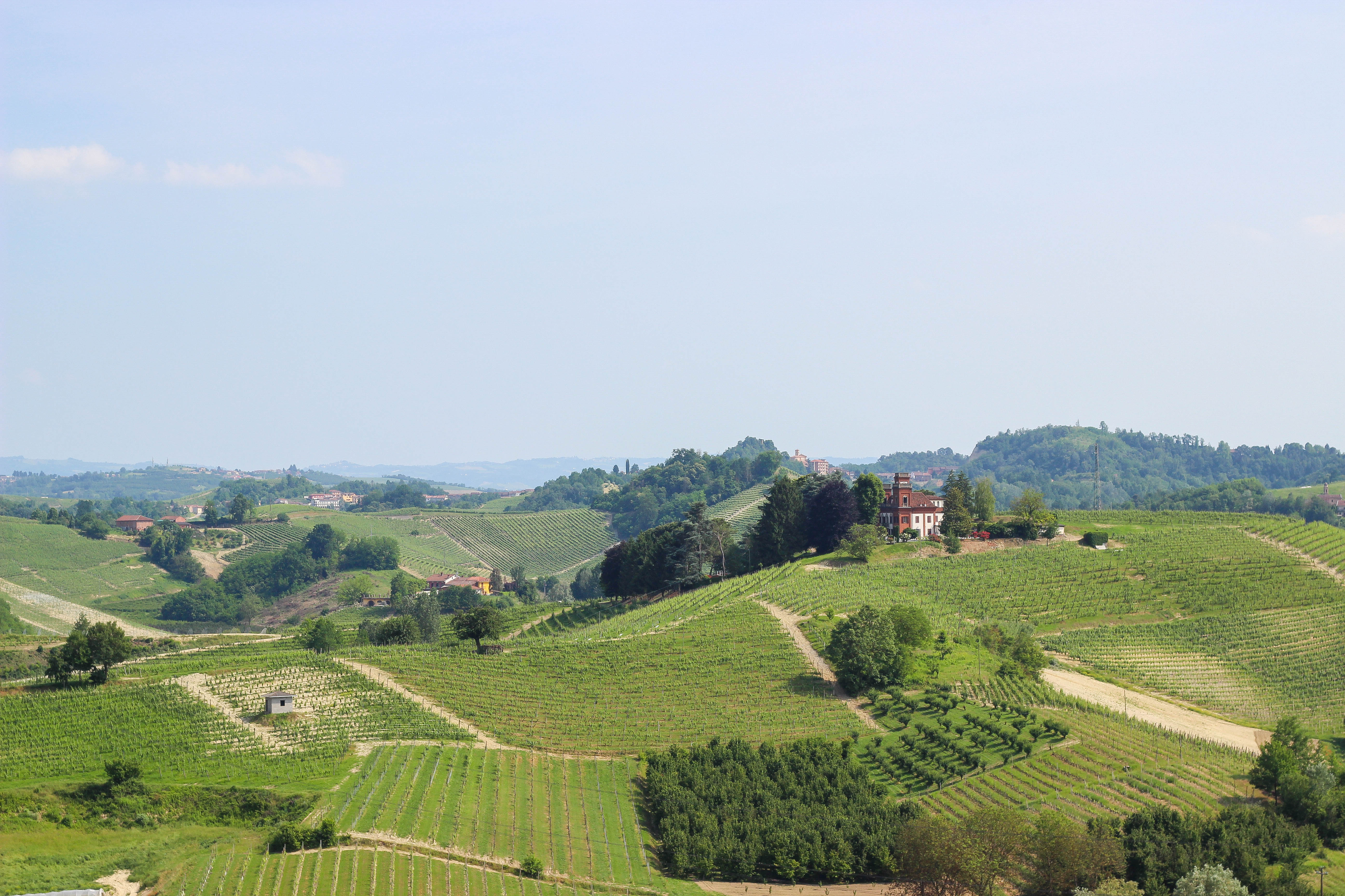 VIlla Tiboldi Italy Piedmont Wine