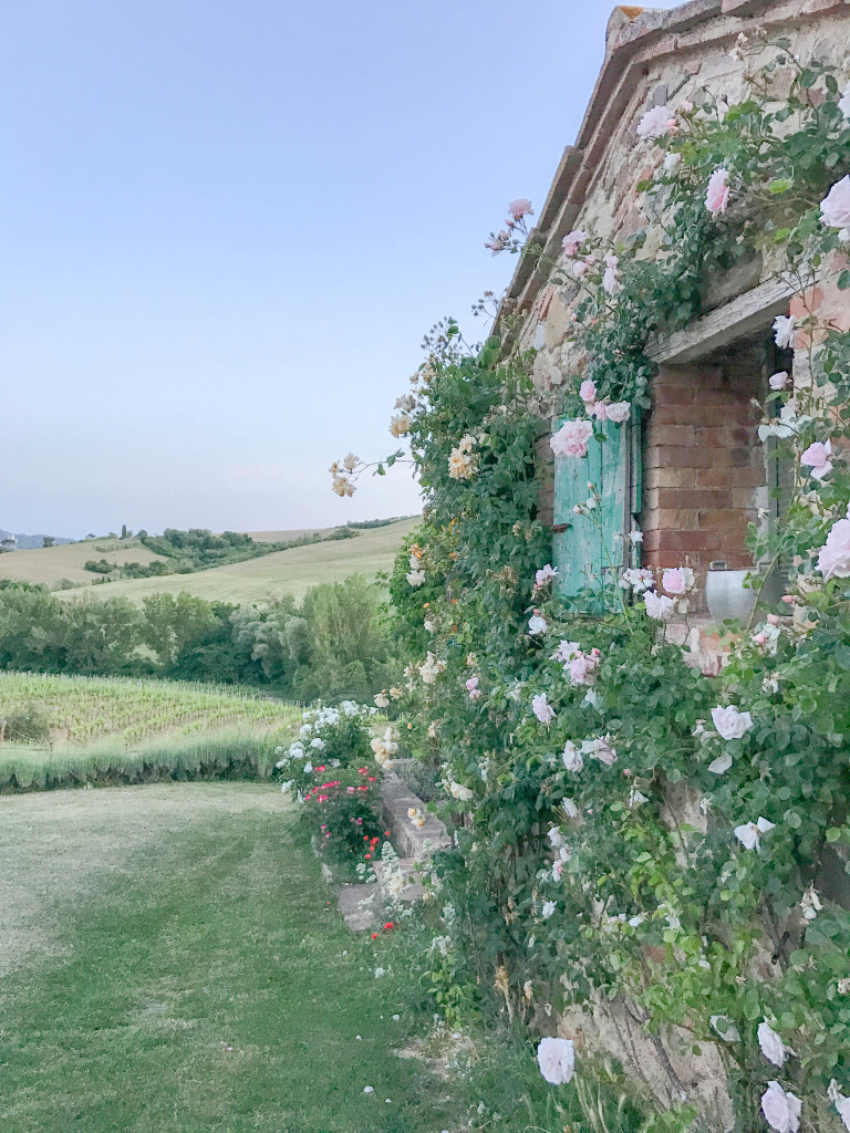 follonico bnb farmhouse tuscany italy hotel