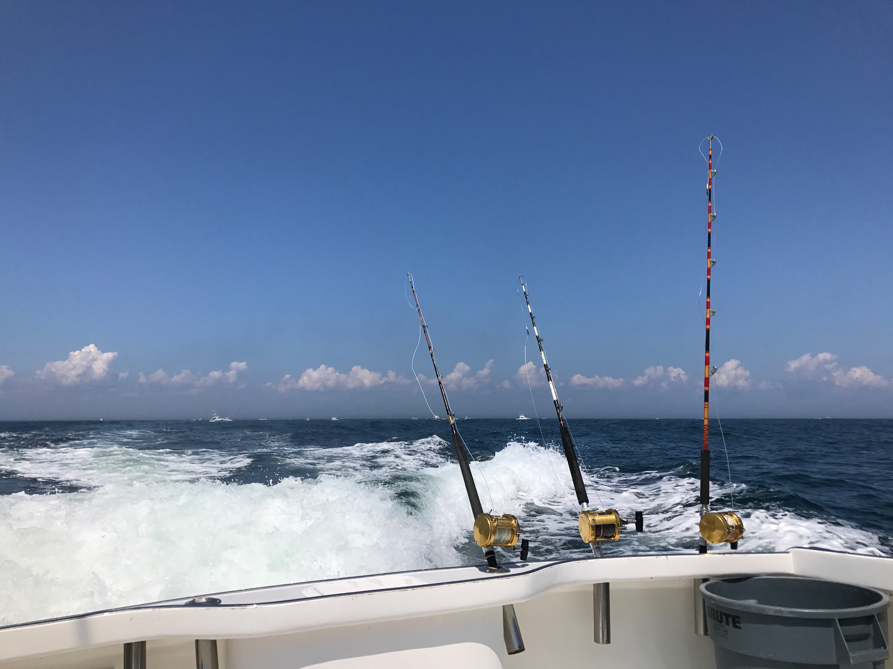 shark fishing montauk lady grace captain mario