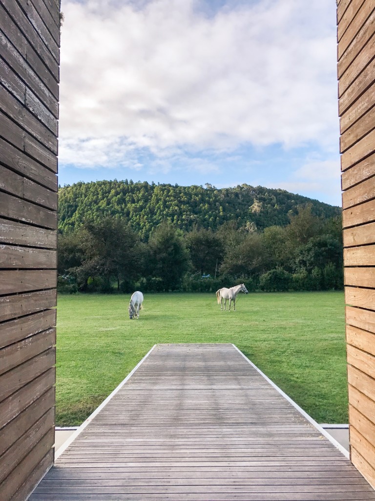 Furnas Lake Villas Azores