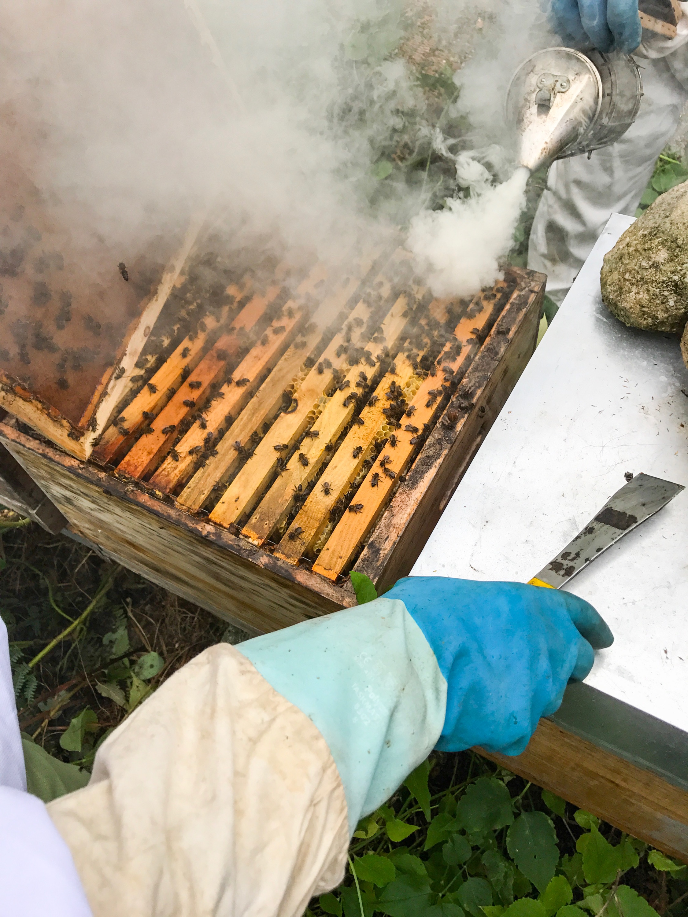 Bee Keeping Furnas Lake Villas The Azores