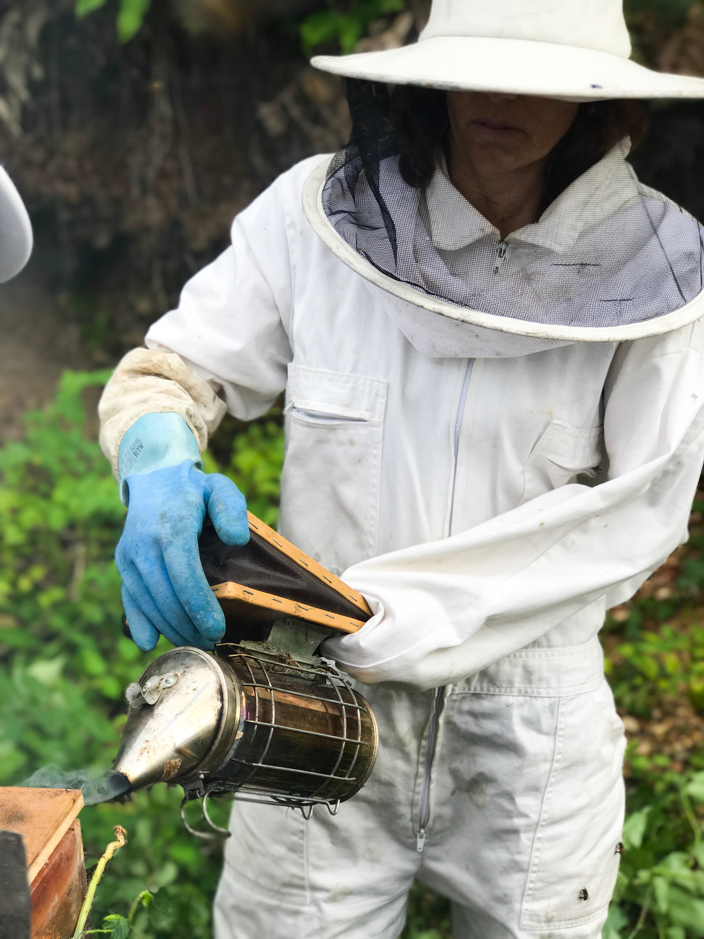 Bee Keeping Furnas Lake Villas The Azores