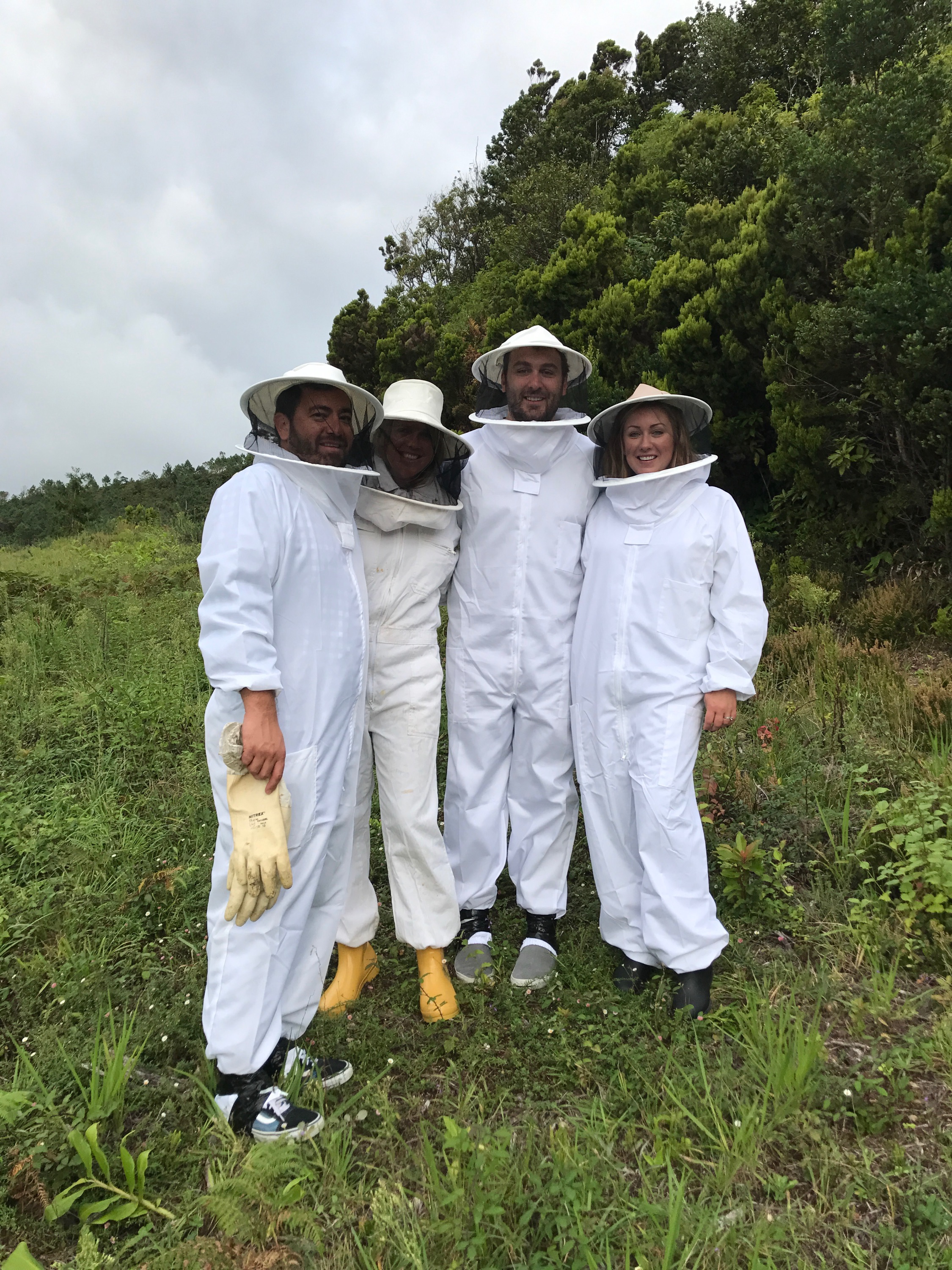 Bee Keeping Furnas Lake Villas The Azores