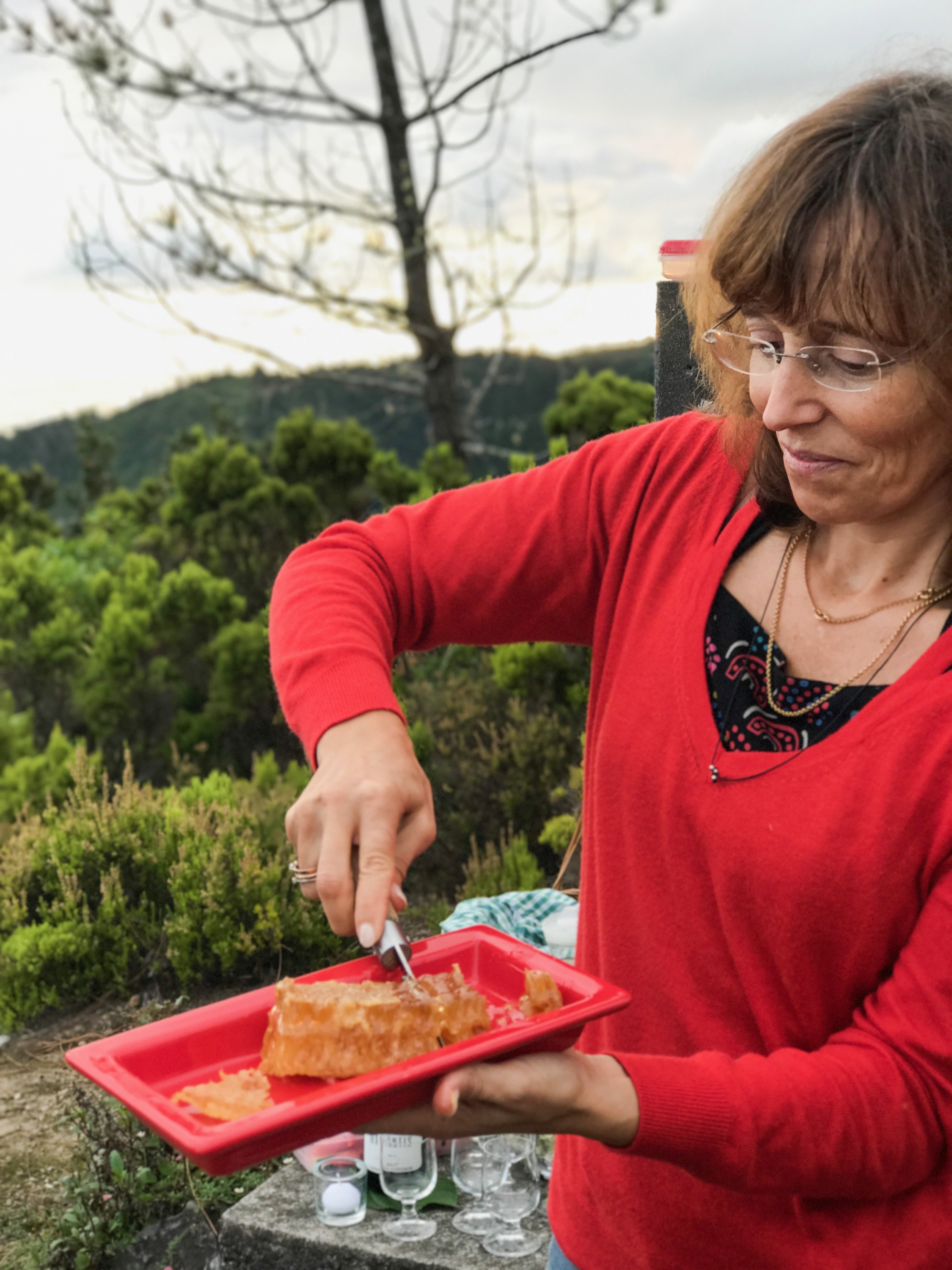 Bee Keeping Furnas Lake Villas The Azores.JPG