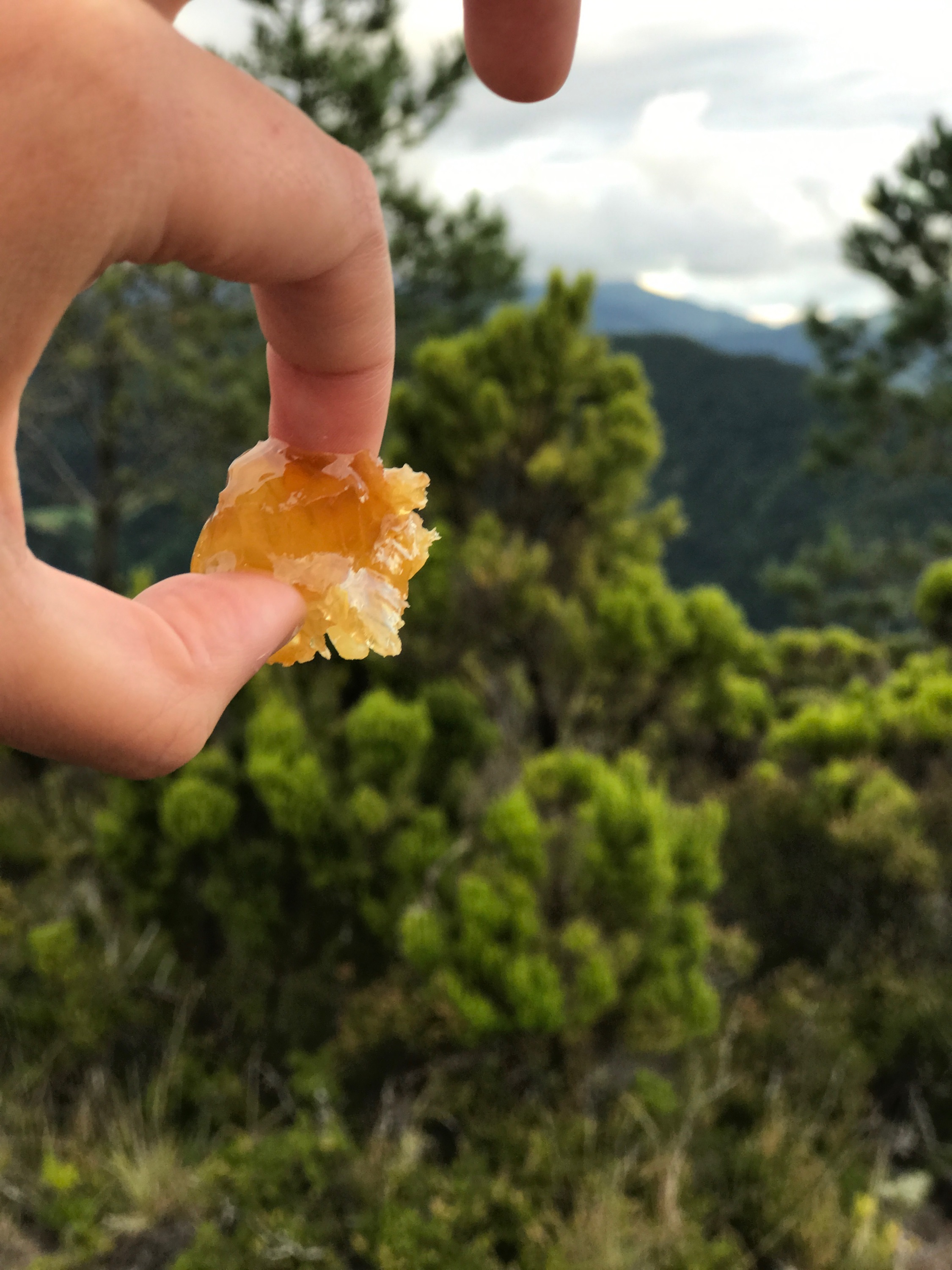 Bee Keeping Furnas Lake Villas The Azores