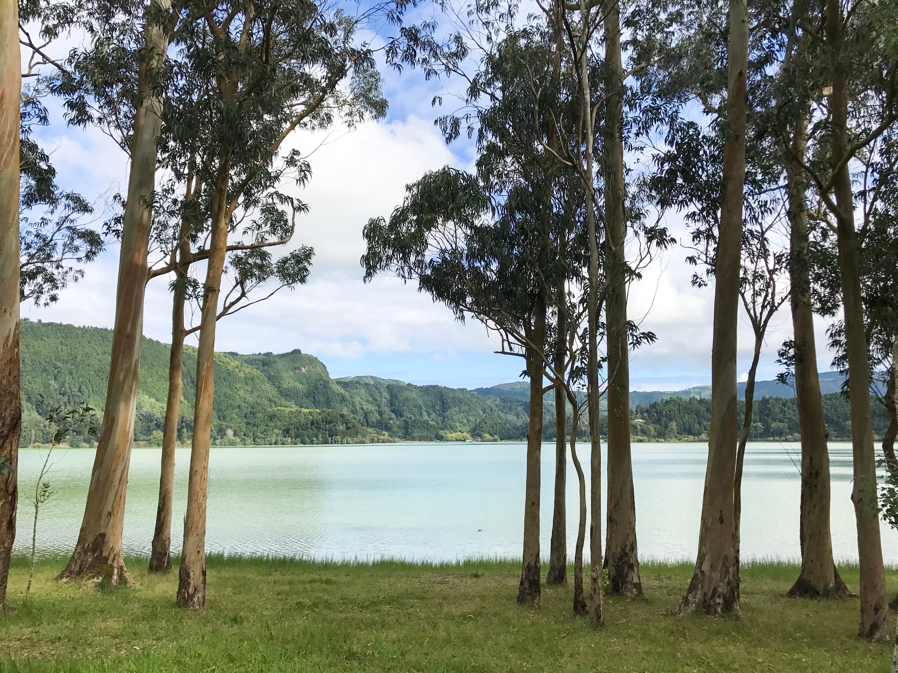 Furnas Lake Walk The Azores