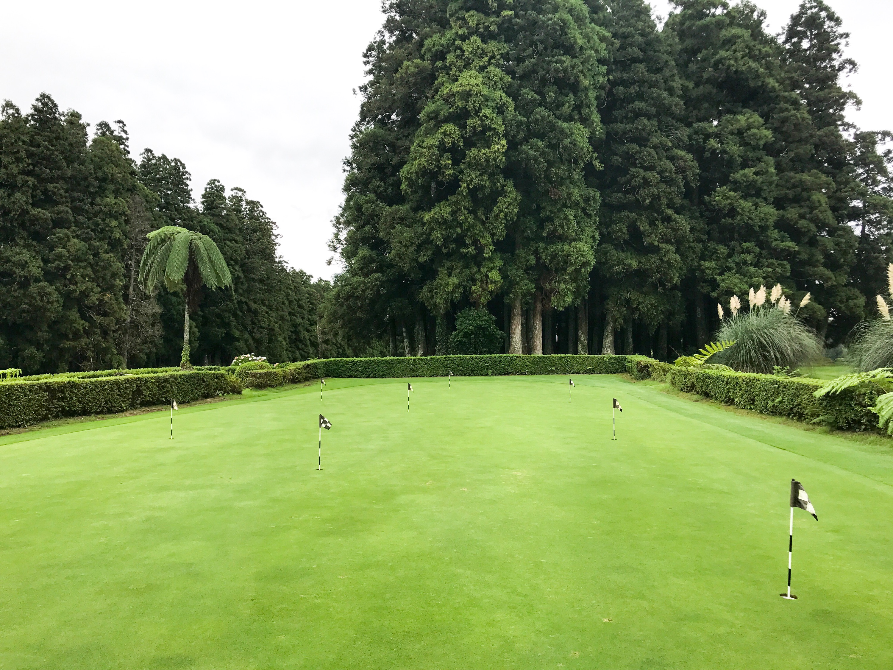 furnas golf course the azores