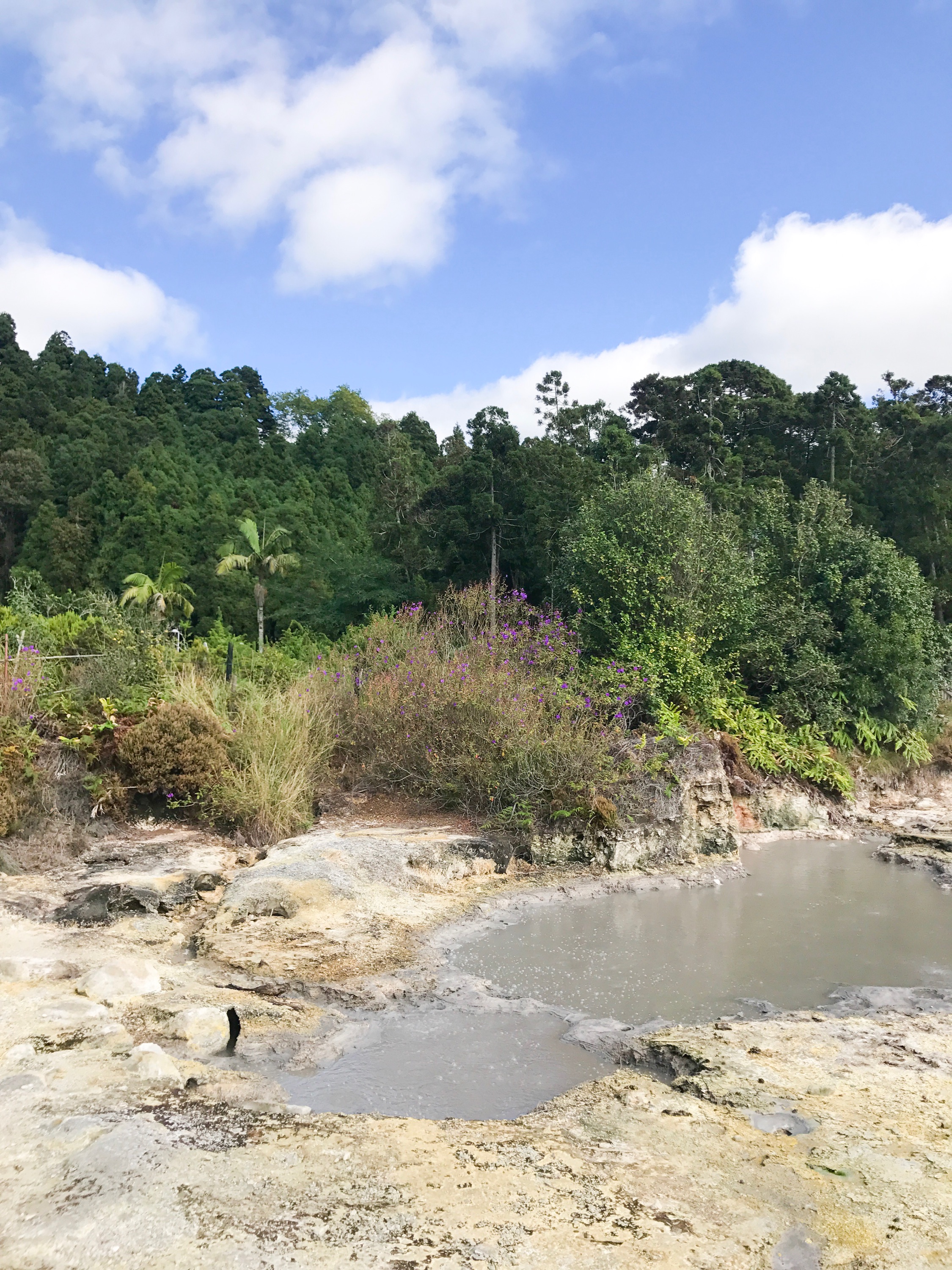 Furnas Lake Walk The Azores 