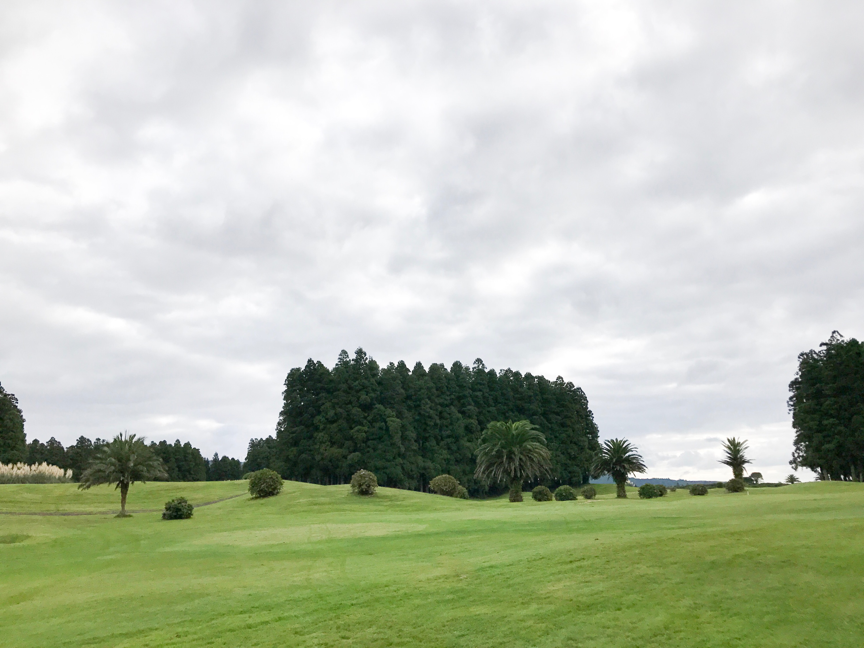 IMG_8050.jpgFurnas Golf Course Azores