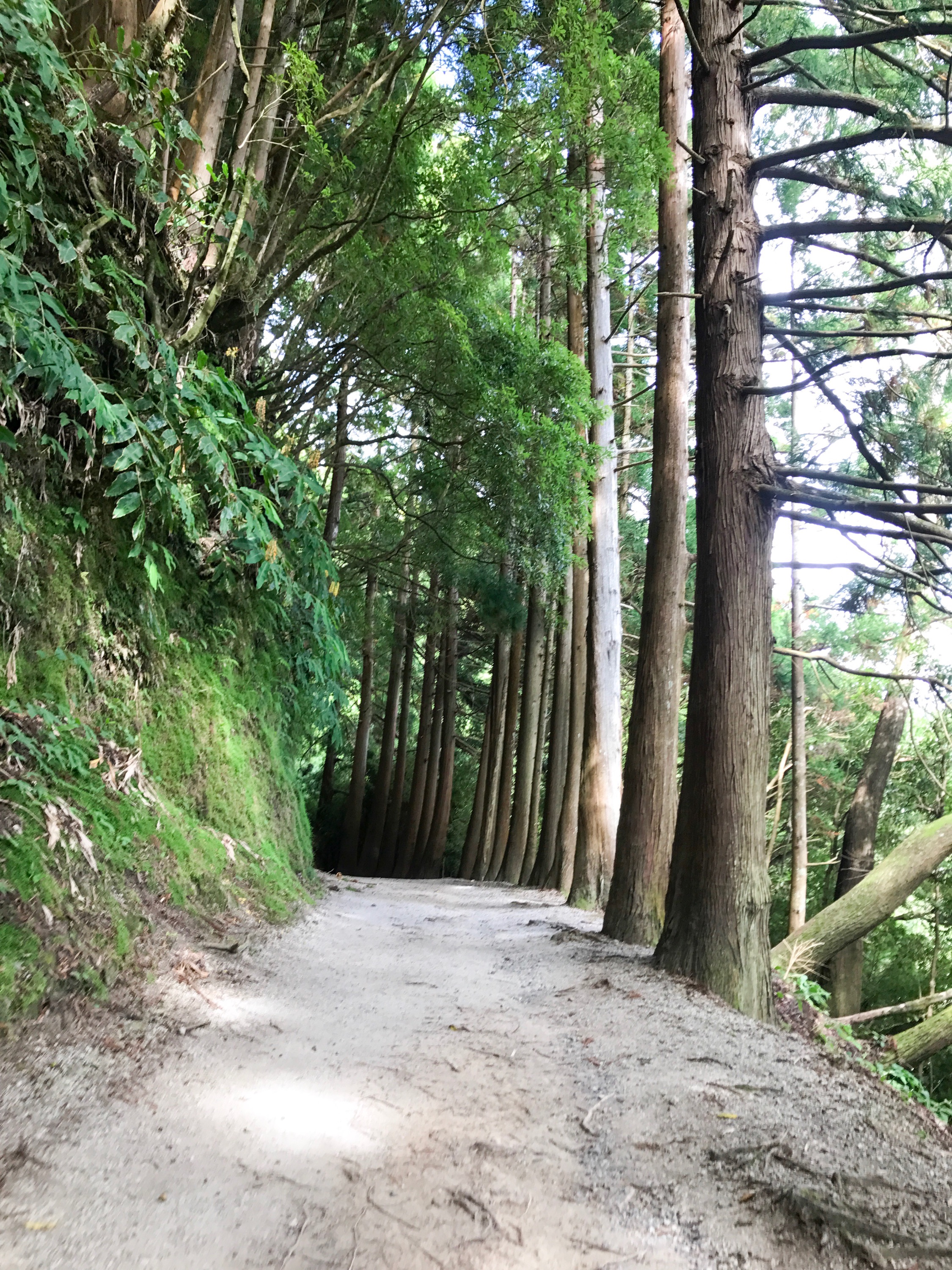 Furnas Lake Walk The Azores 