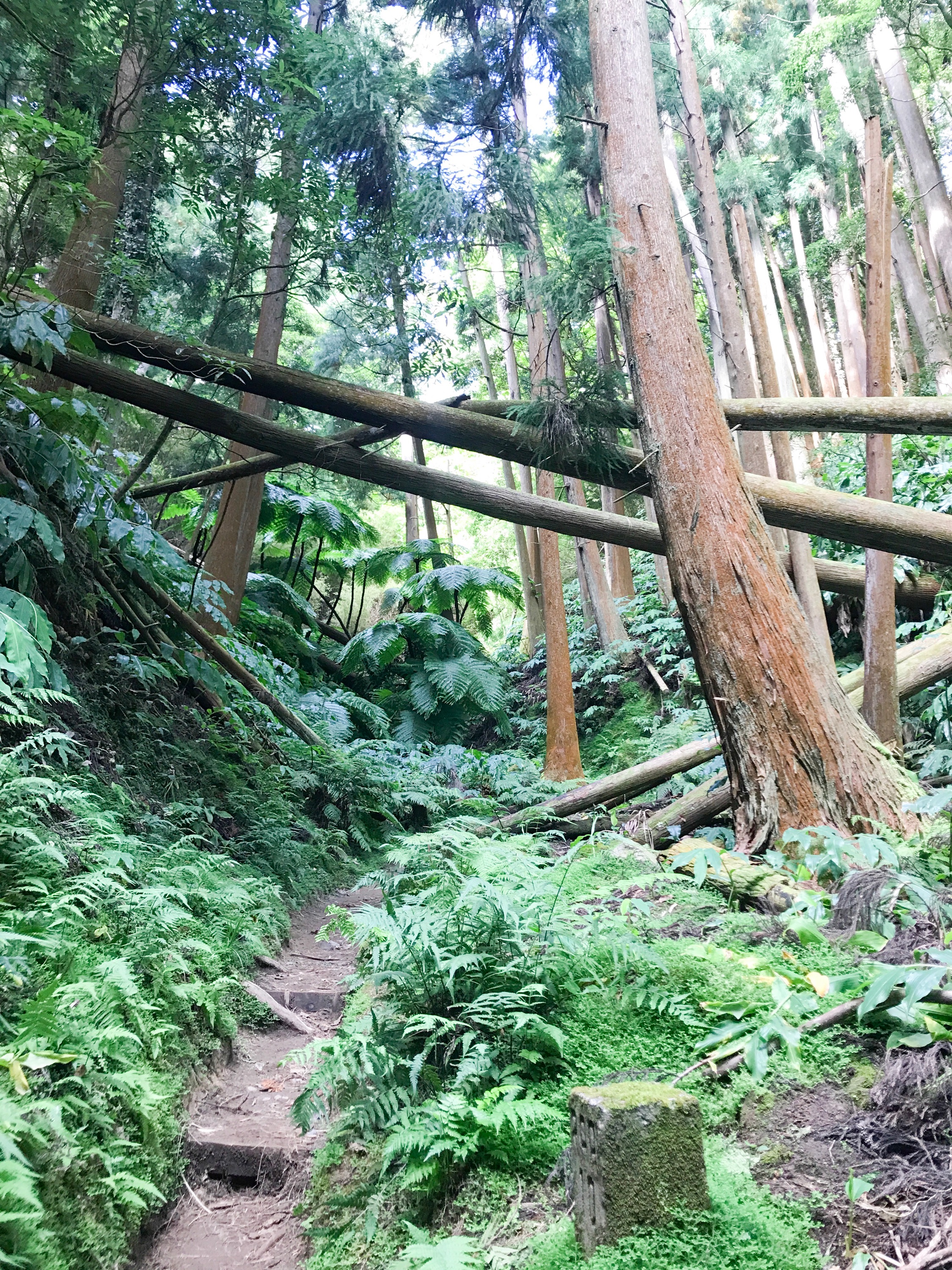 Furnas Lake Walk The Azores 