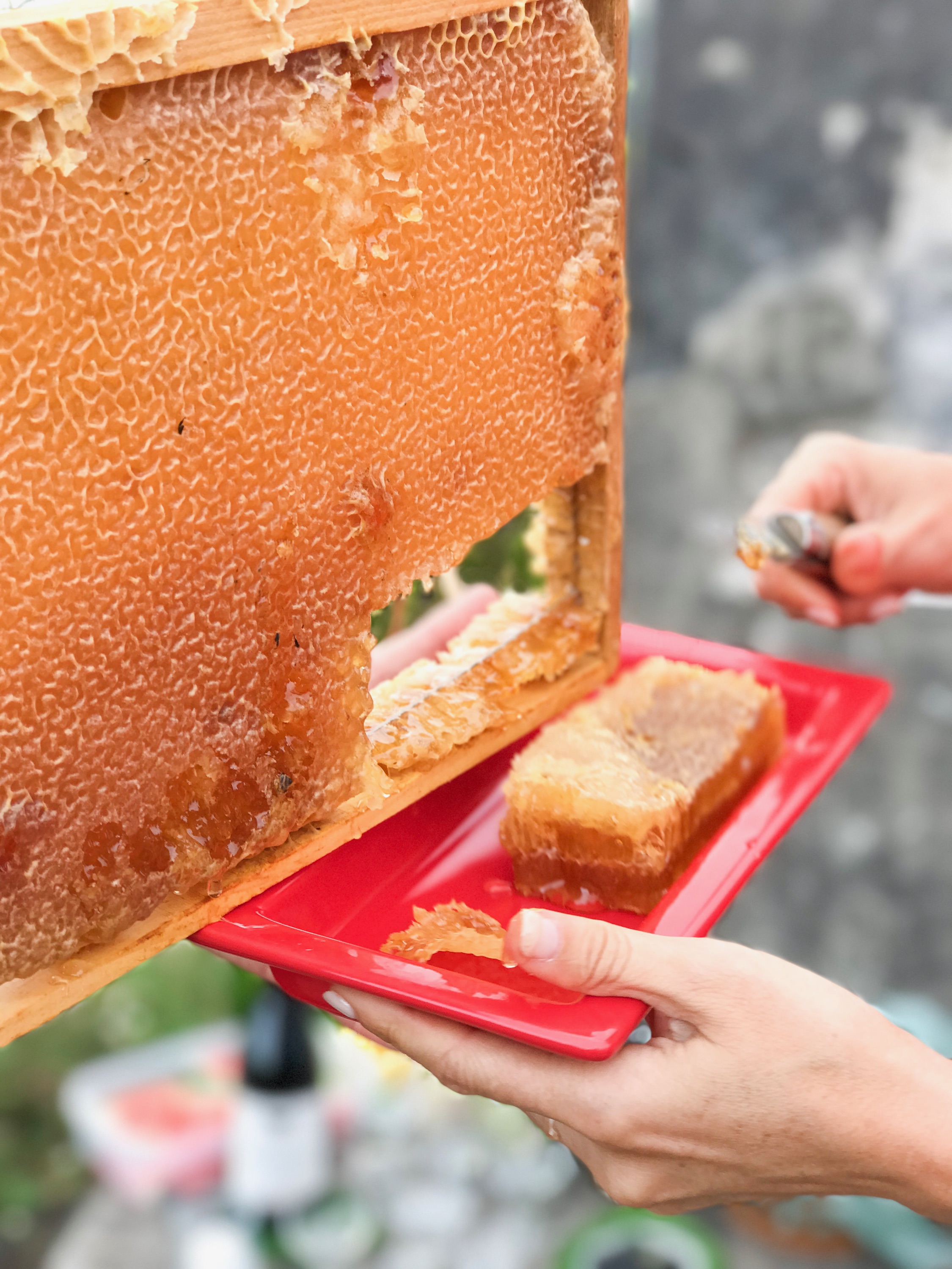 Bee Keeping Furnas Lake Villas The Azores