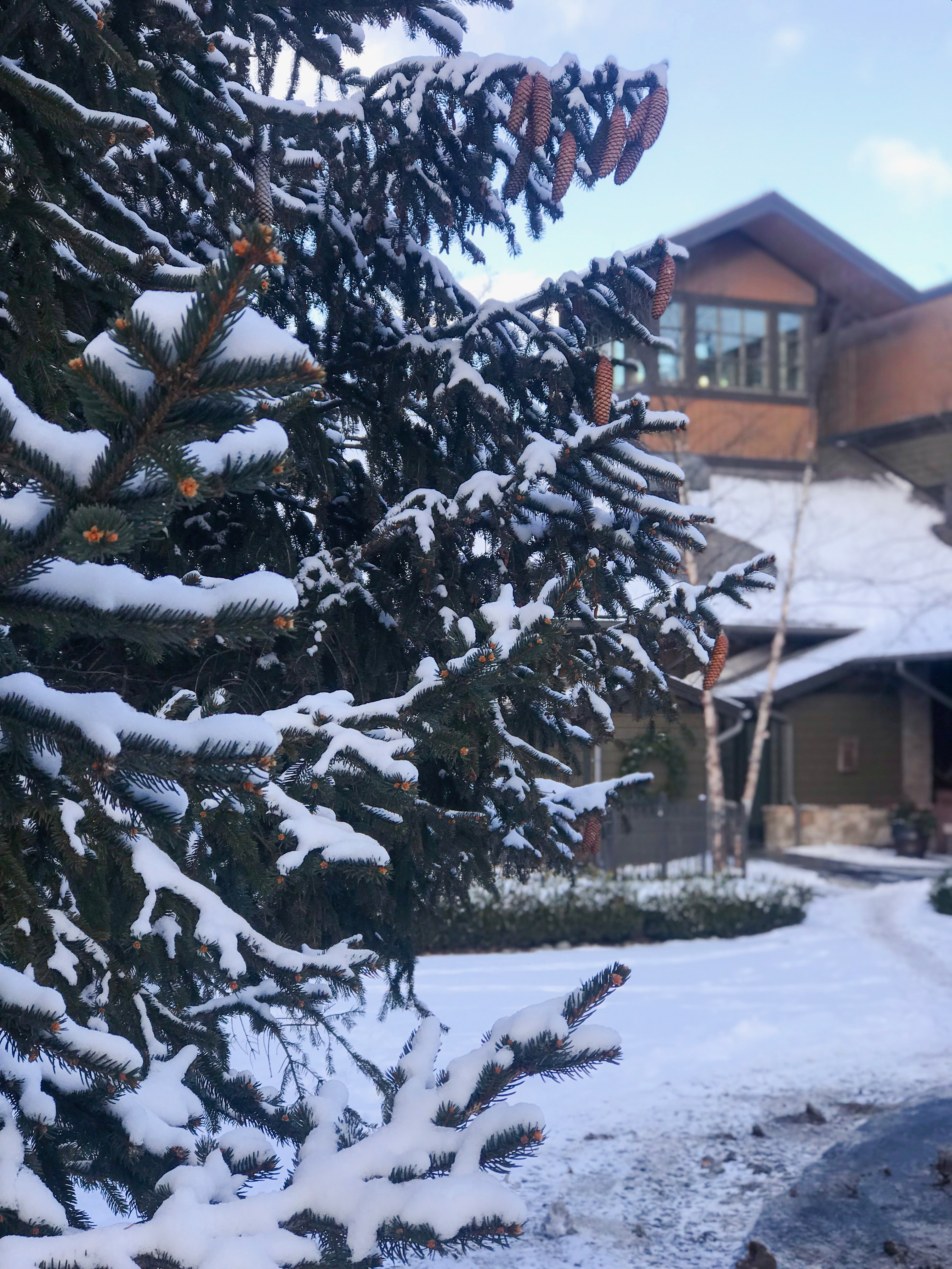 Lodge at Woodloch Pennsylvania