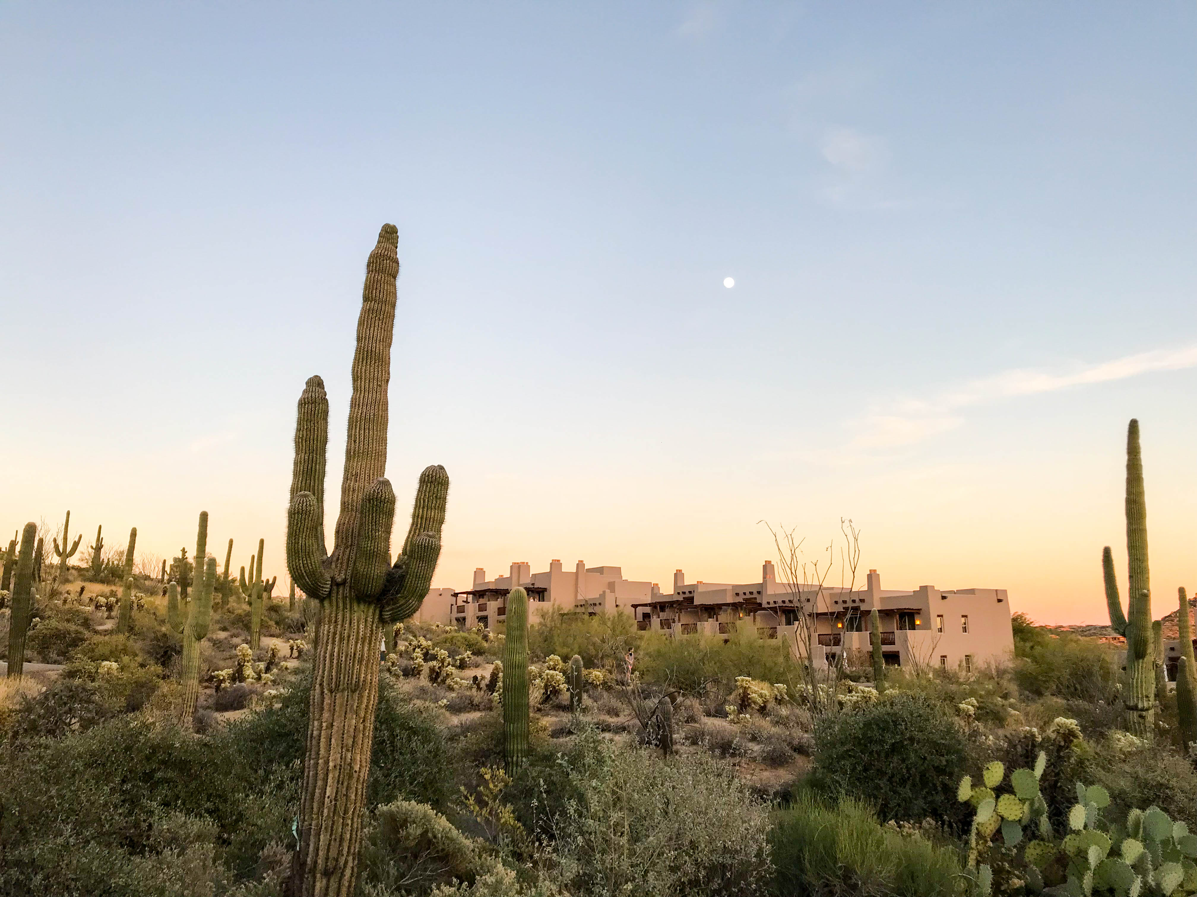 Four Seasons Scottsdale North Troon Phoenix Arizona Golf