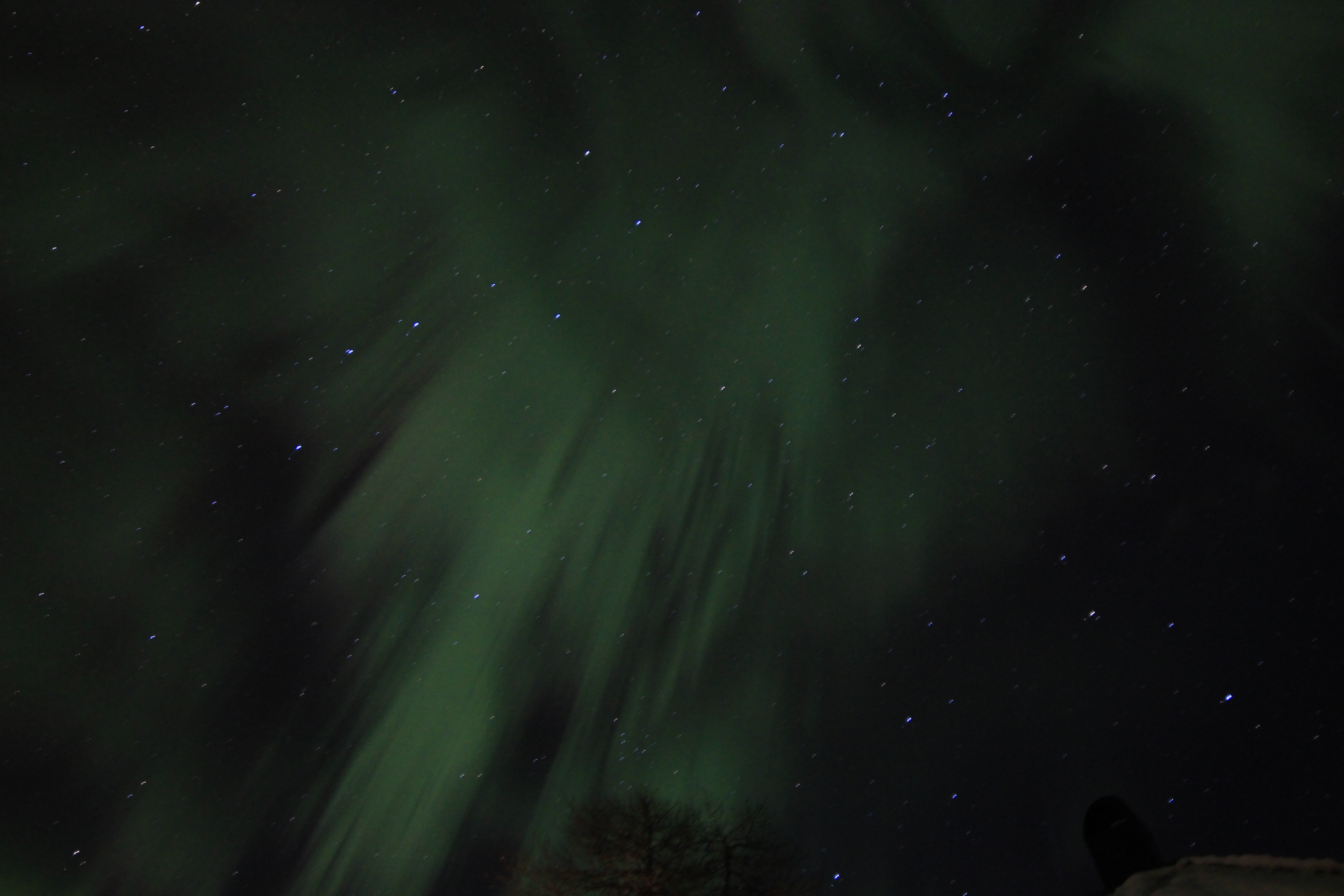 Northern Lights Malangen Tromso