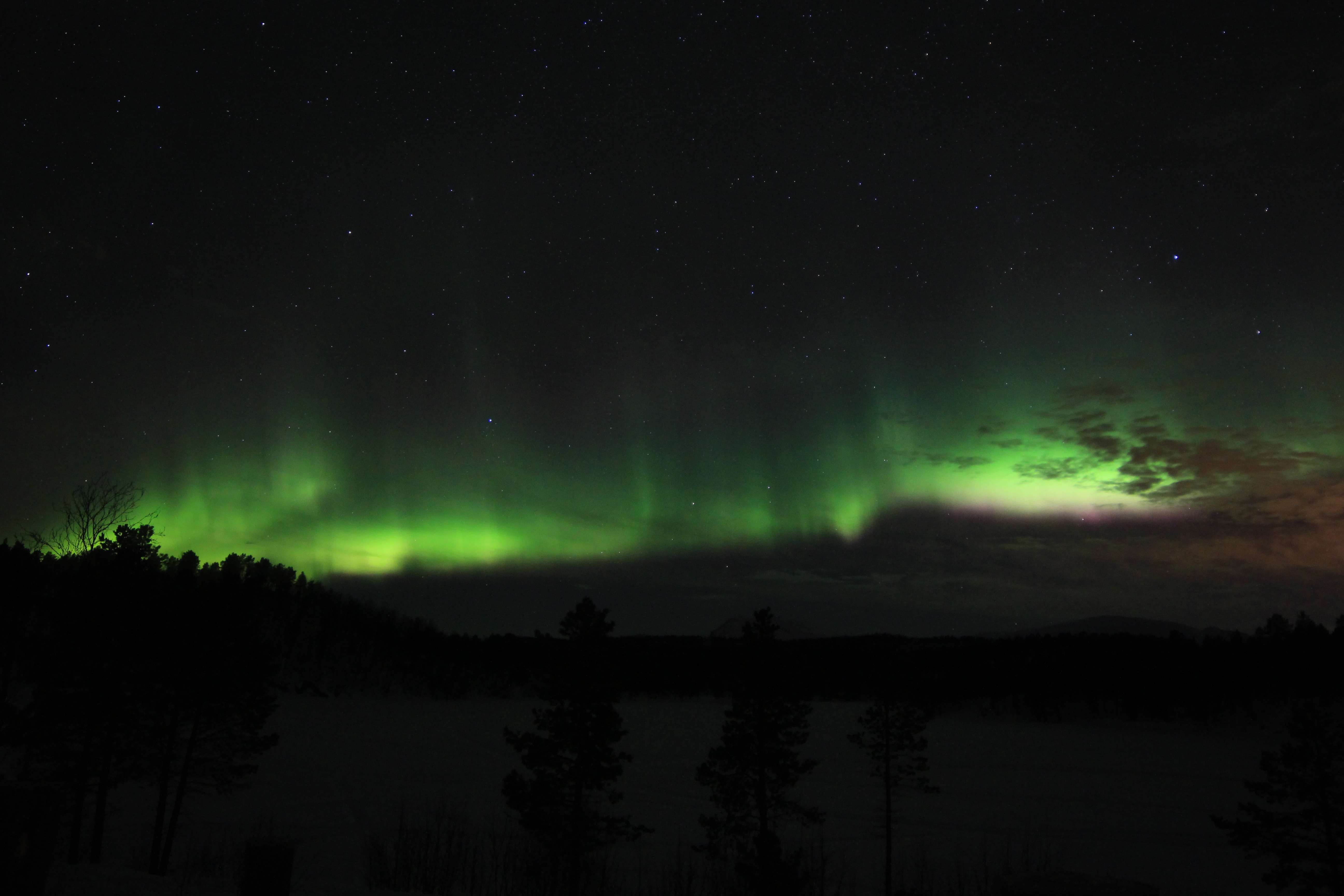 Northern Lights Malangen Tromso