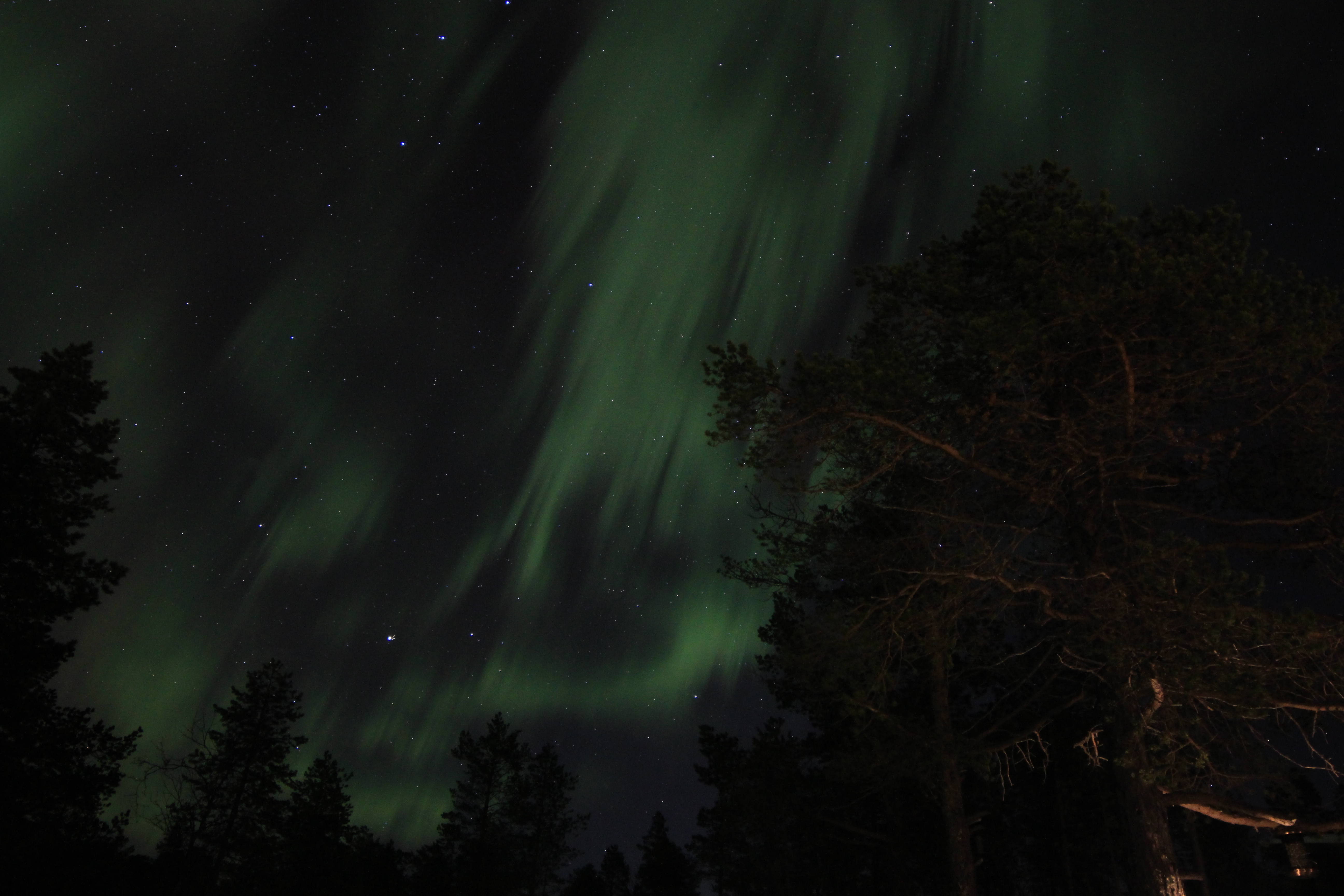 Northern Lights Malangen Tromso