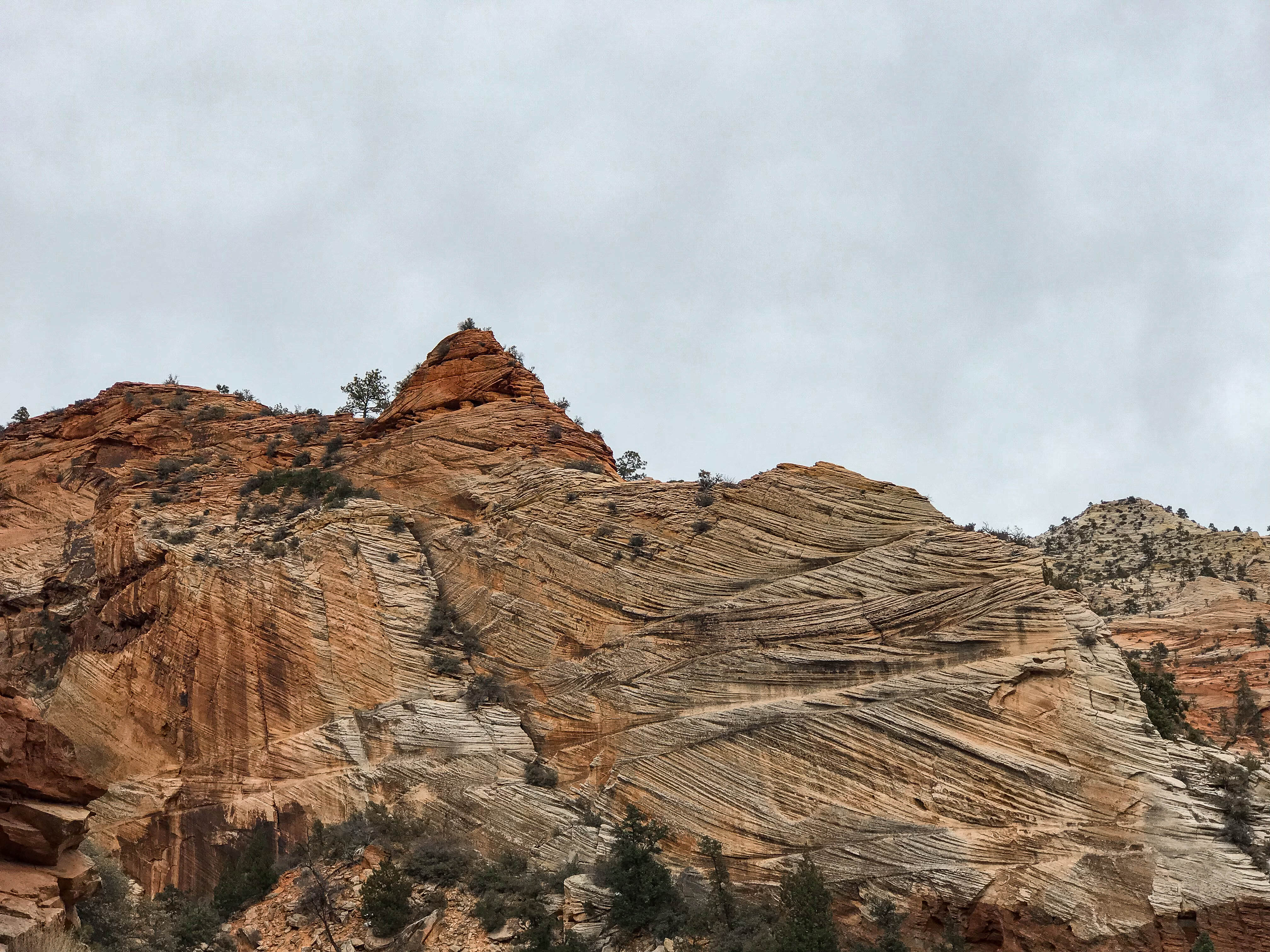 zion national park USA utah 