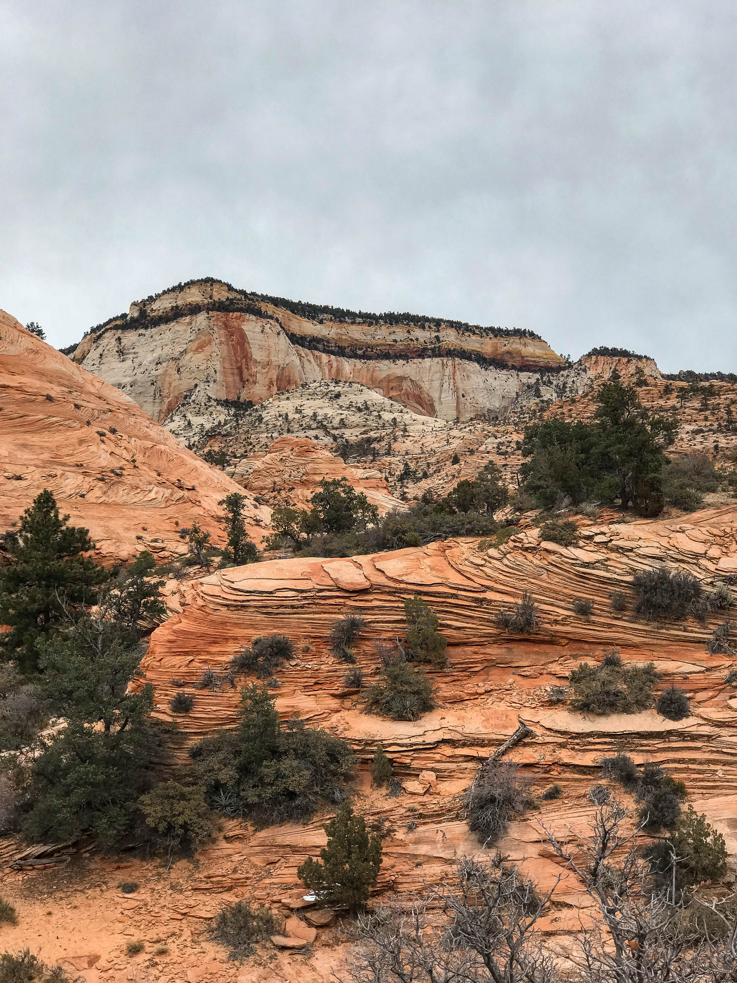 zion national park USA utah 