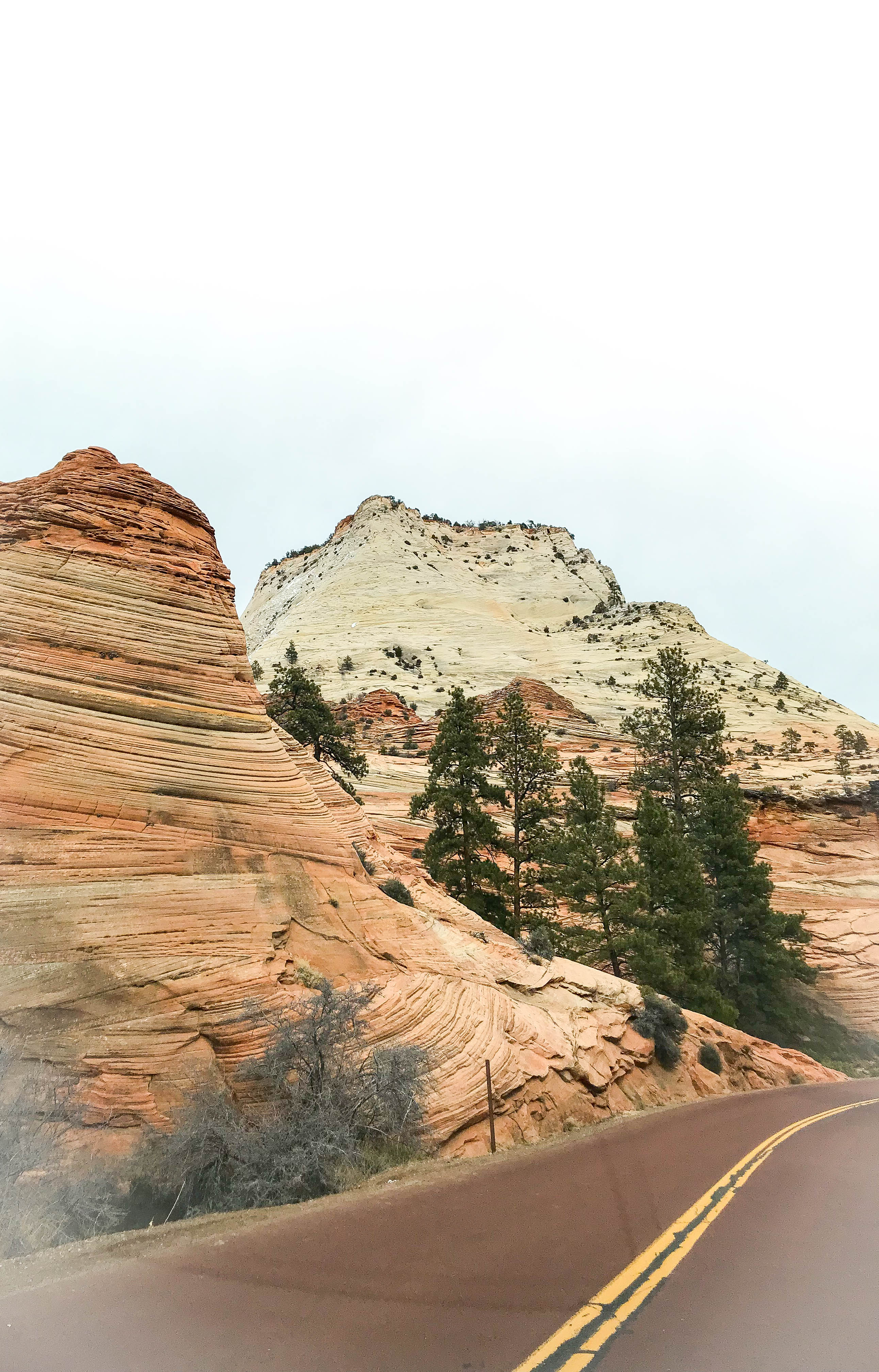 zion national park USA utah 