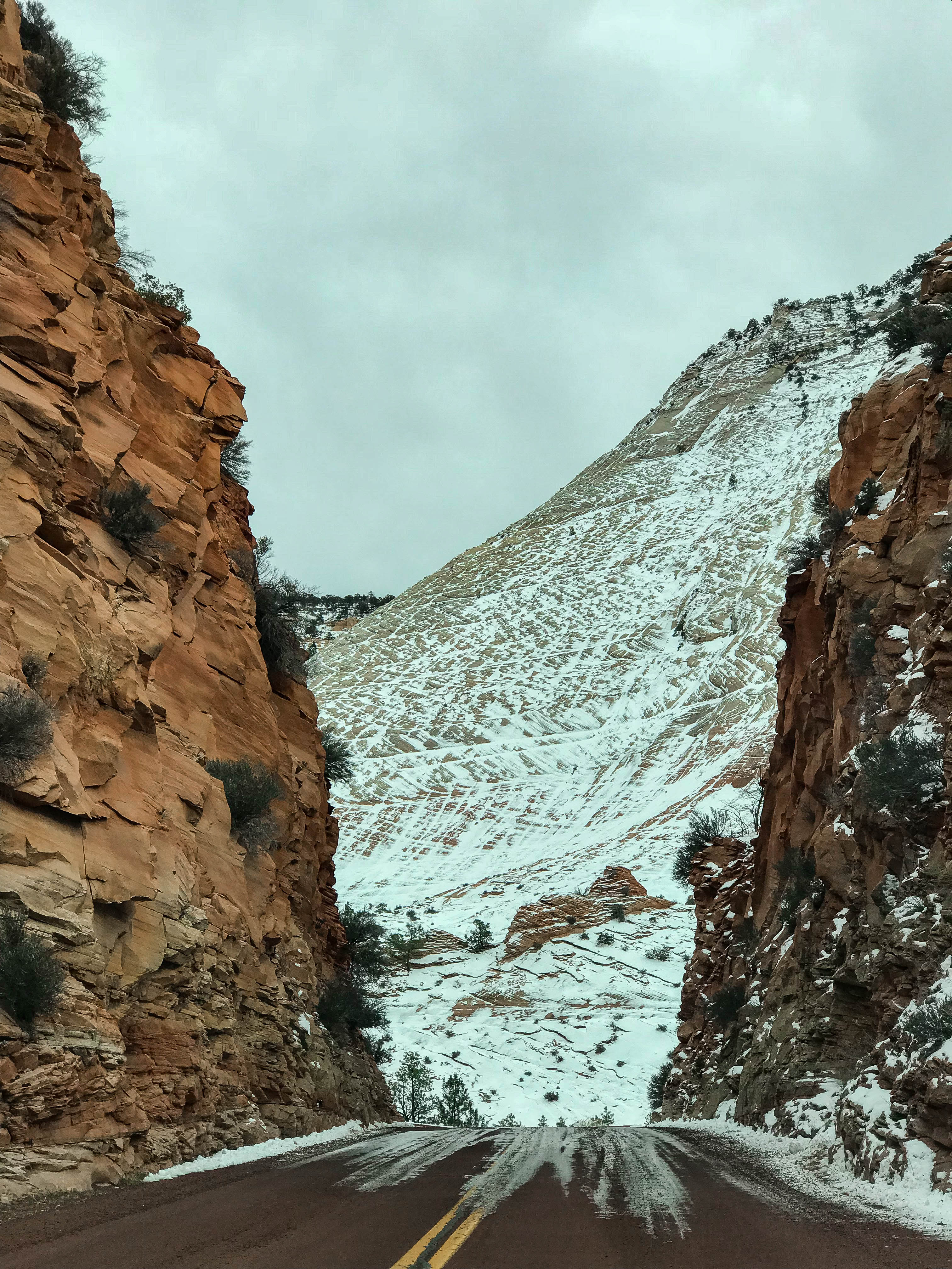 zion national park USA utah 