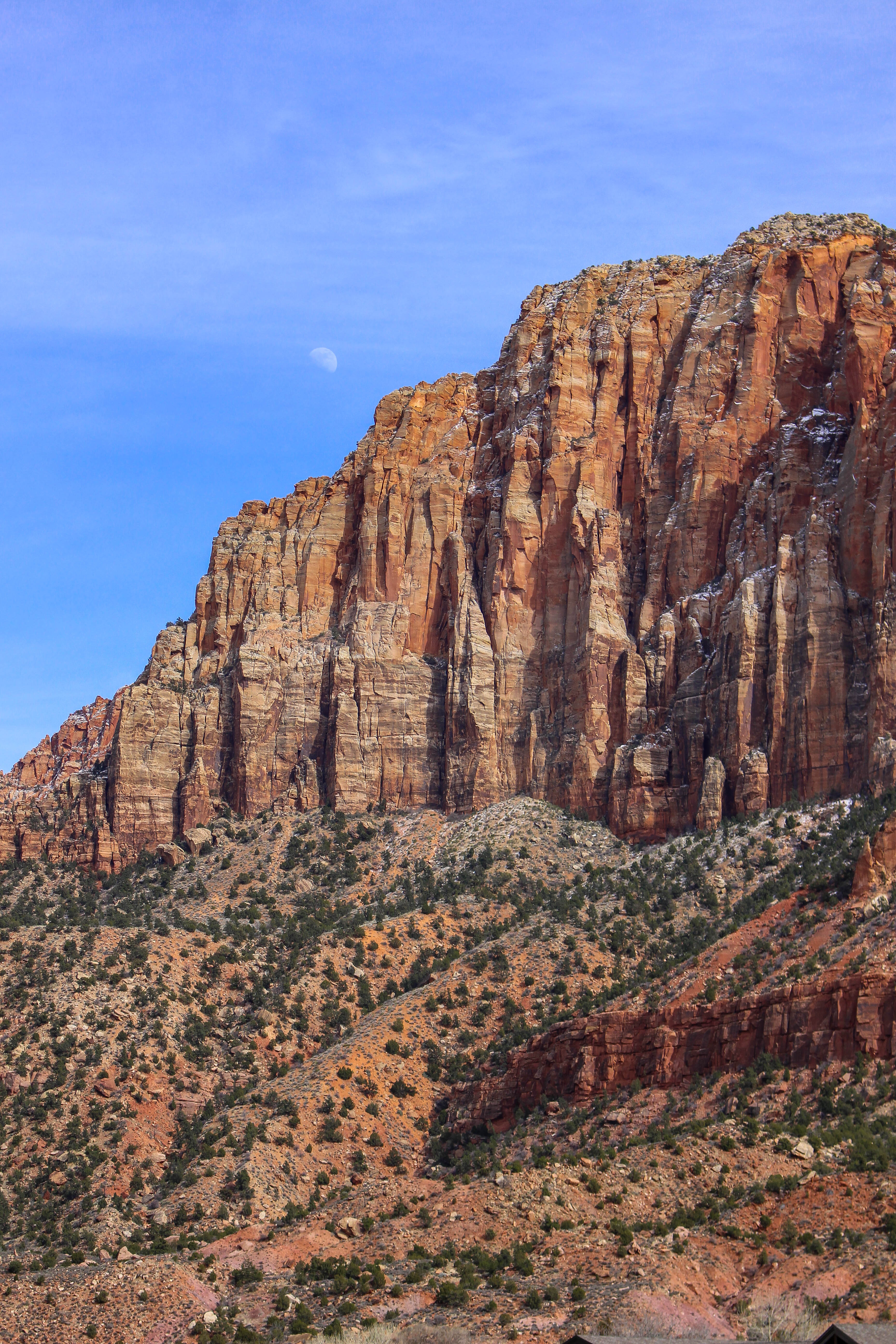 zion national park USA utah 