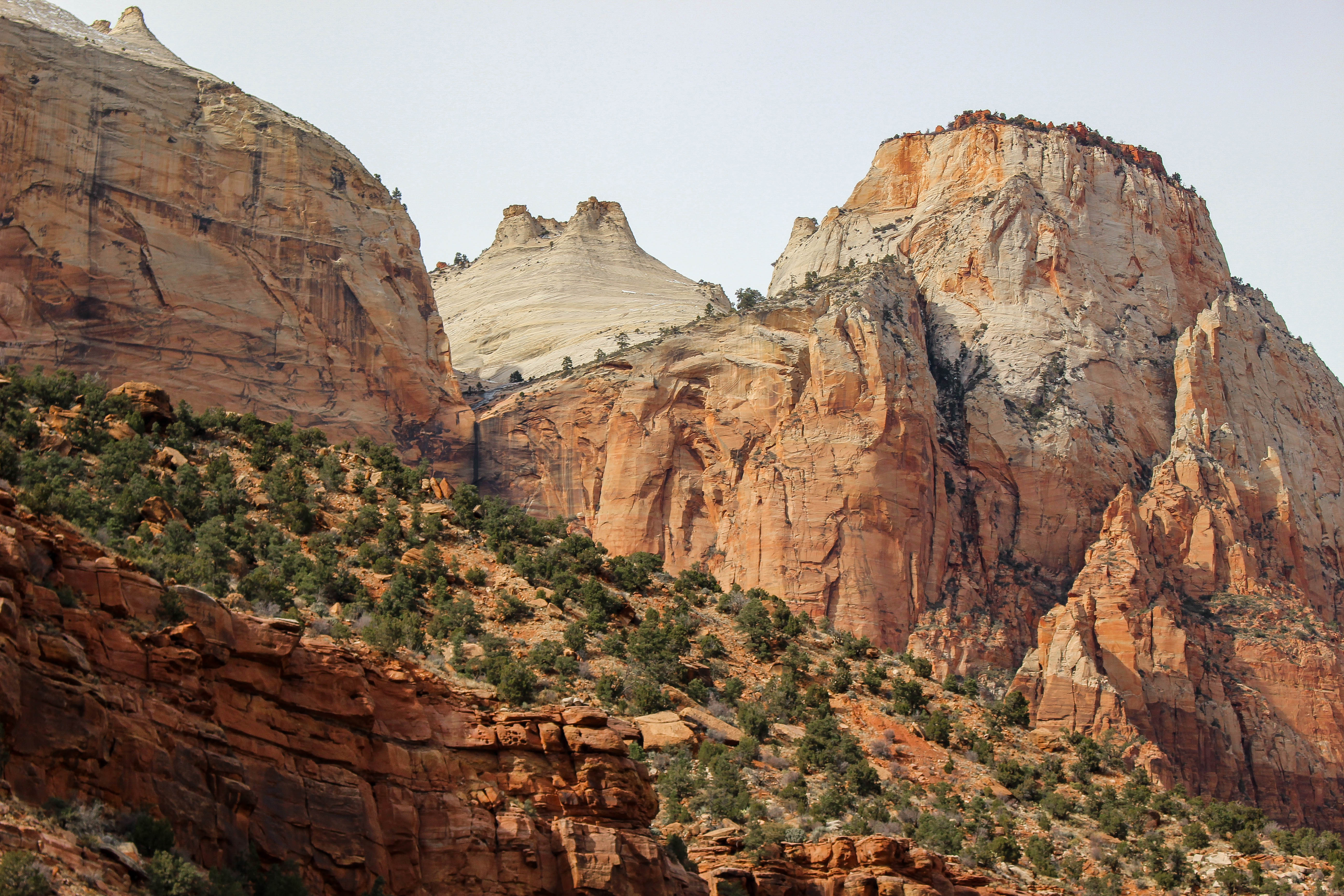 zion national park USA utah 