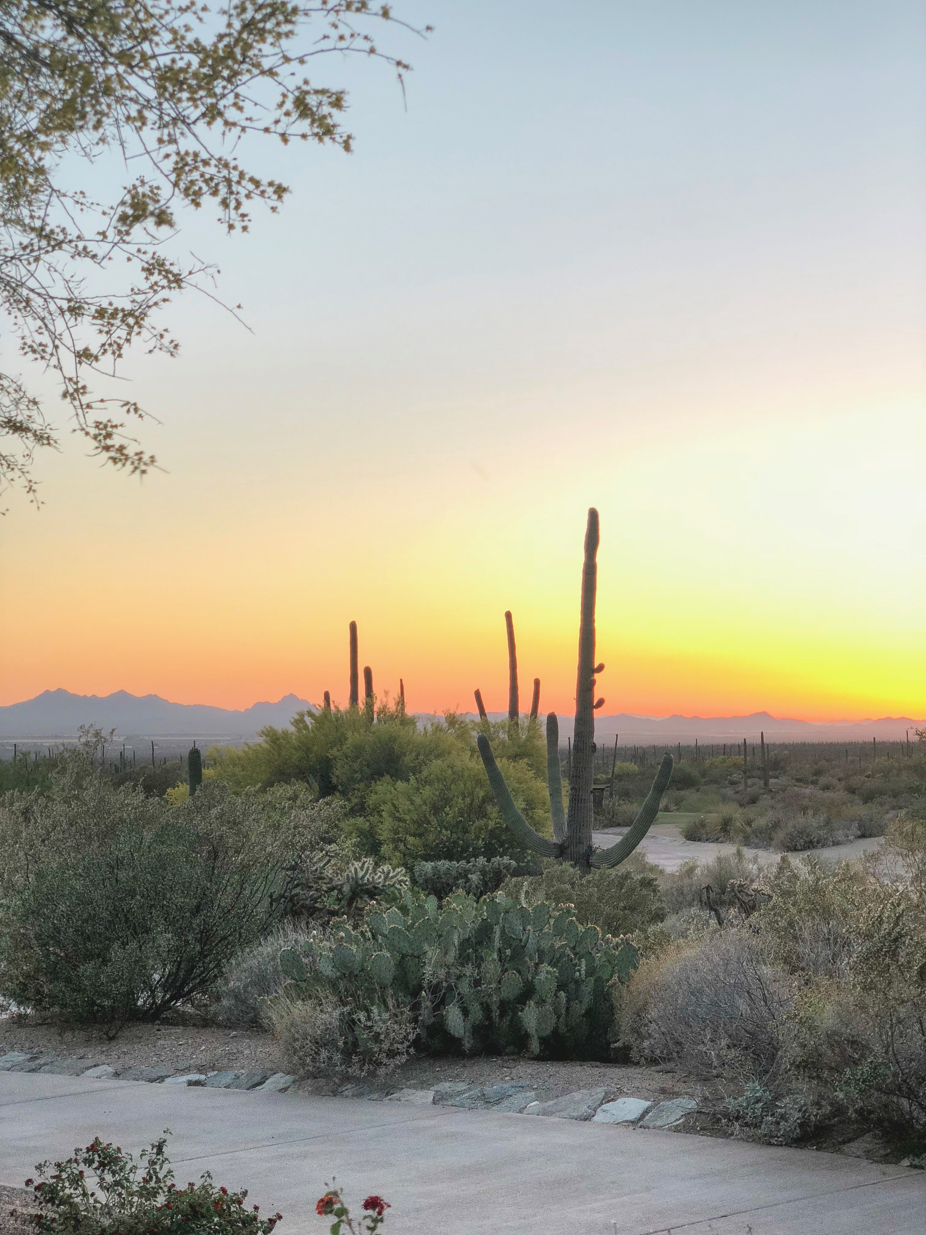 Dove Mountain, Arizona