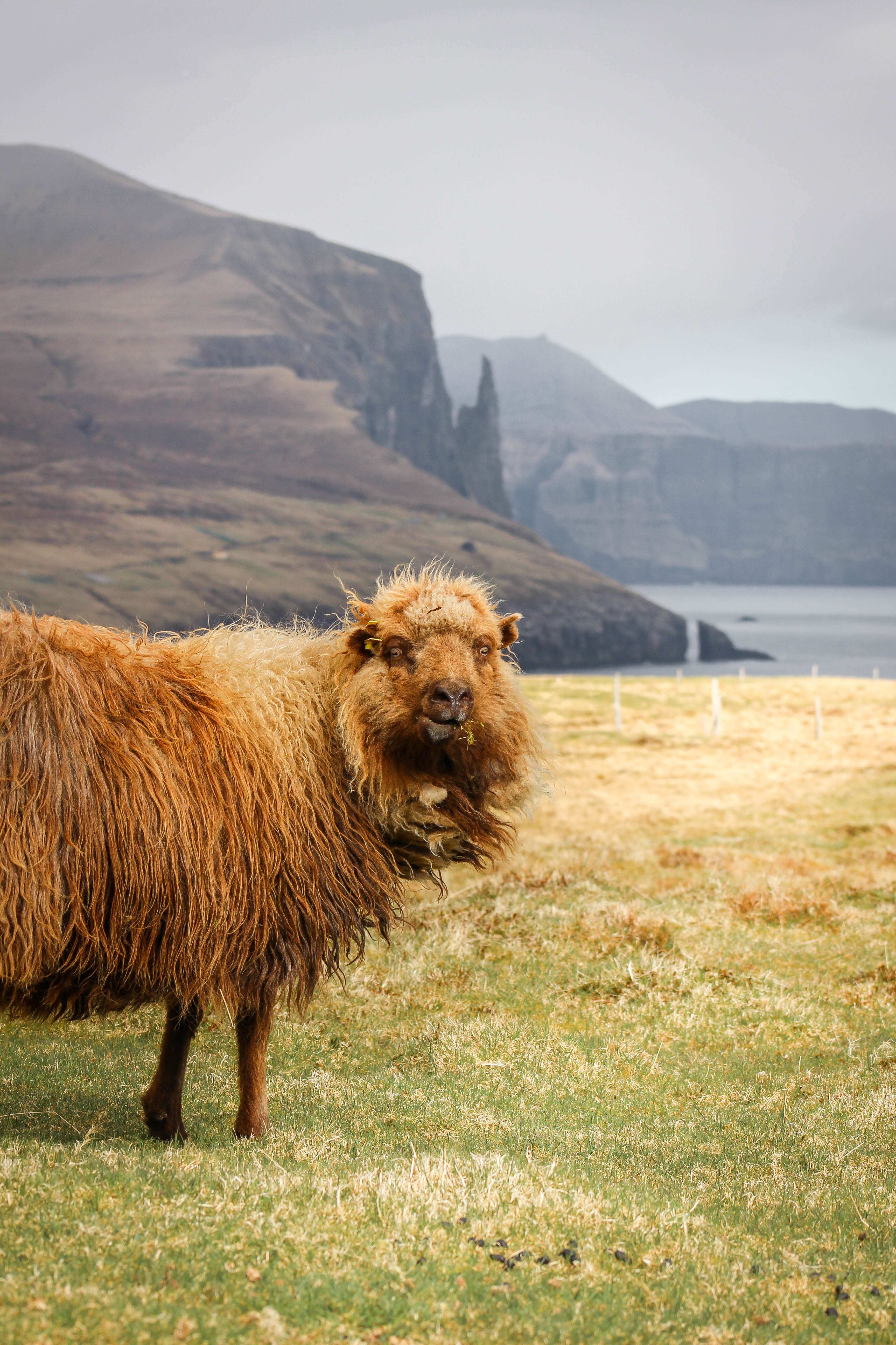 The Lake Sørvágsvatn hike out to Trælanípa cliffs and Bøsdalafossur waterfall | Faroe Islands | CompassAndTwine.com