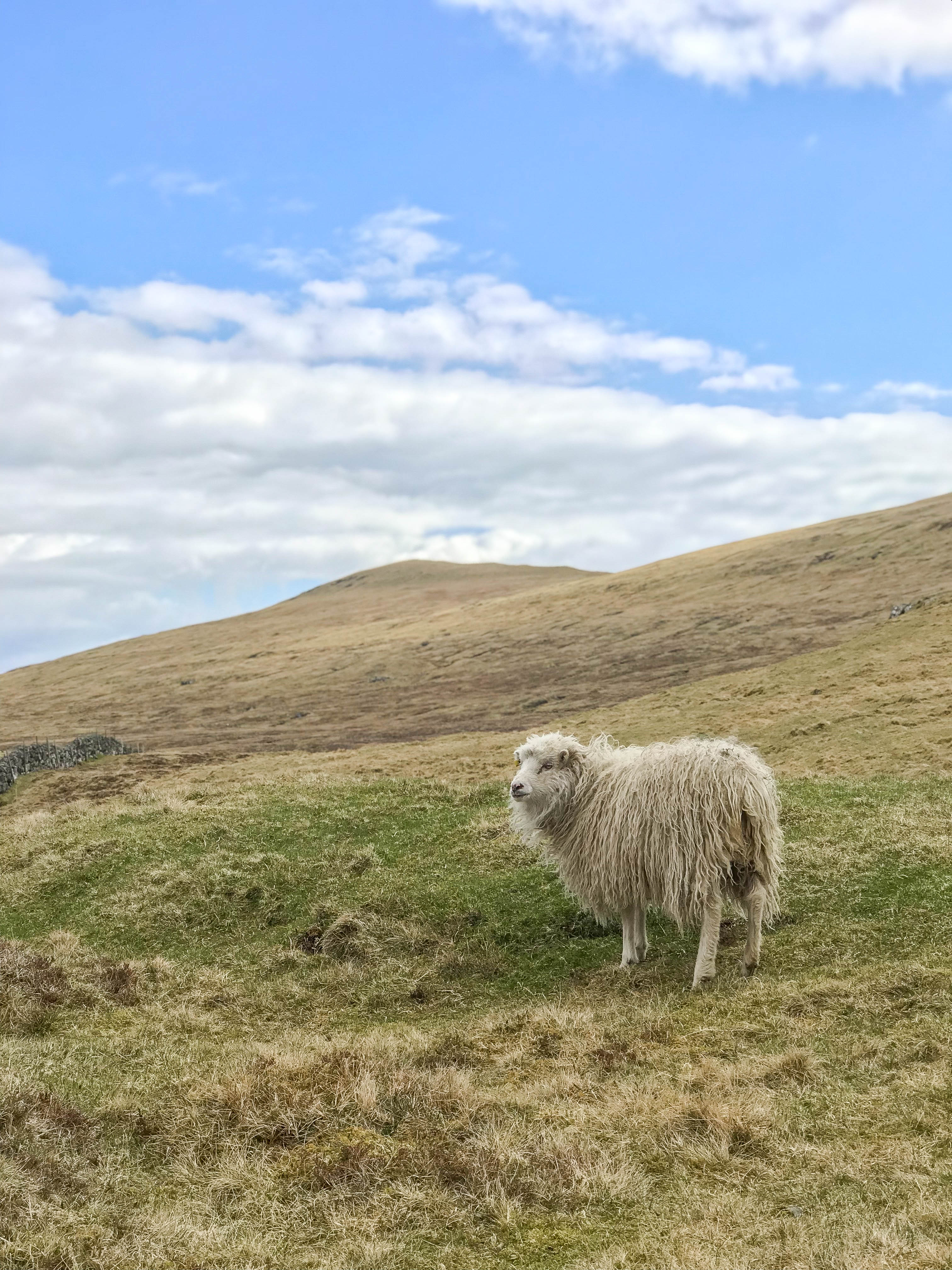 Faroe Islands | CompassAndTwine.com