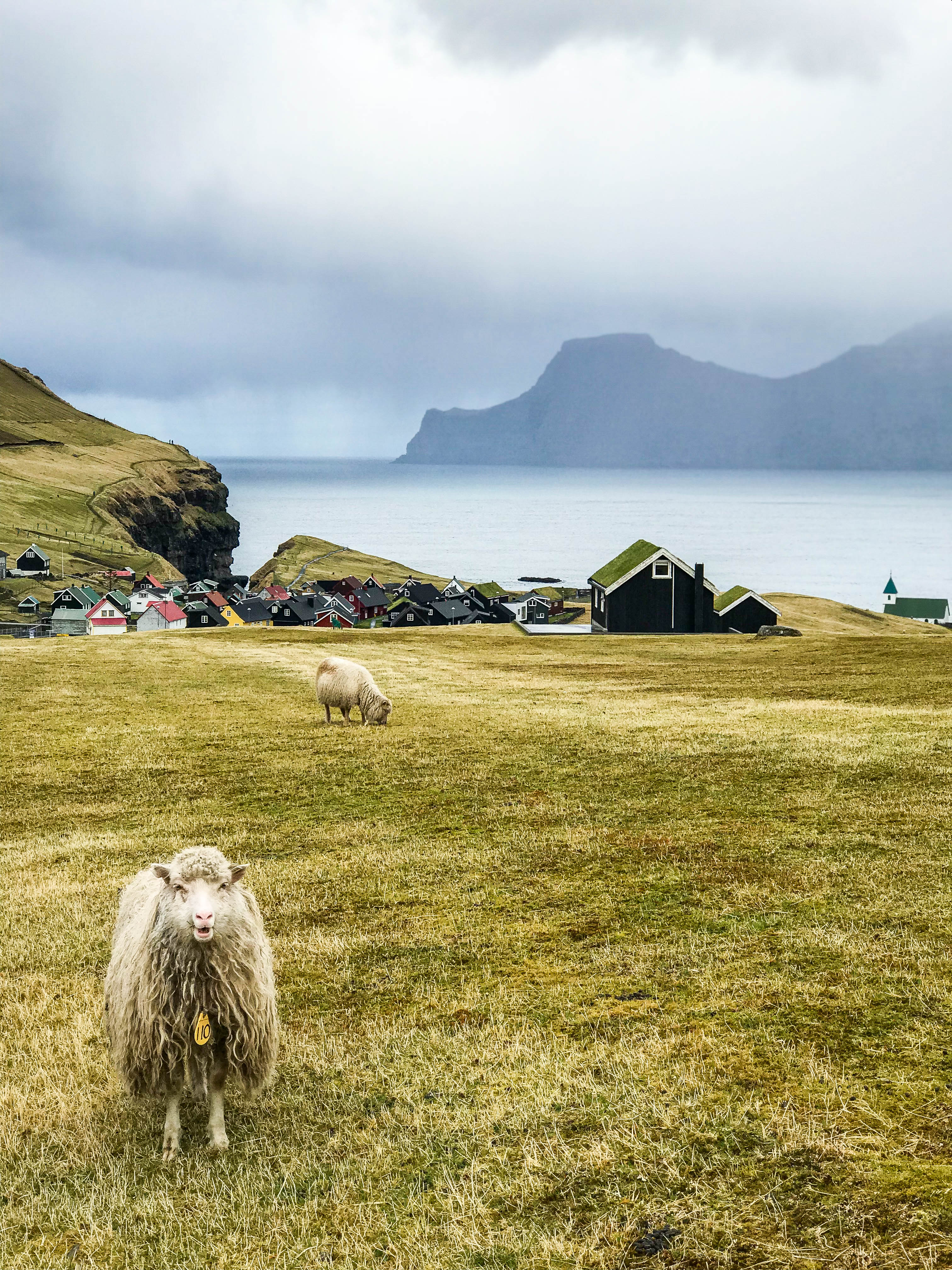 The Village of Gjógv, Faroe Islands | CompassAndTwine.com