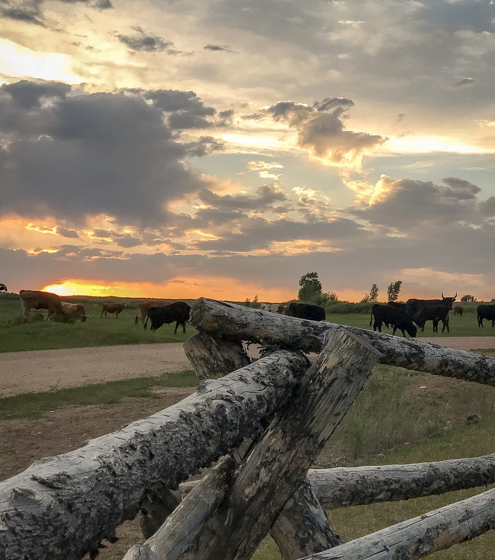 Magee Homestead at Brush Creek Ranch | Saratoga, Wyoming