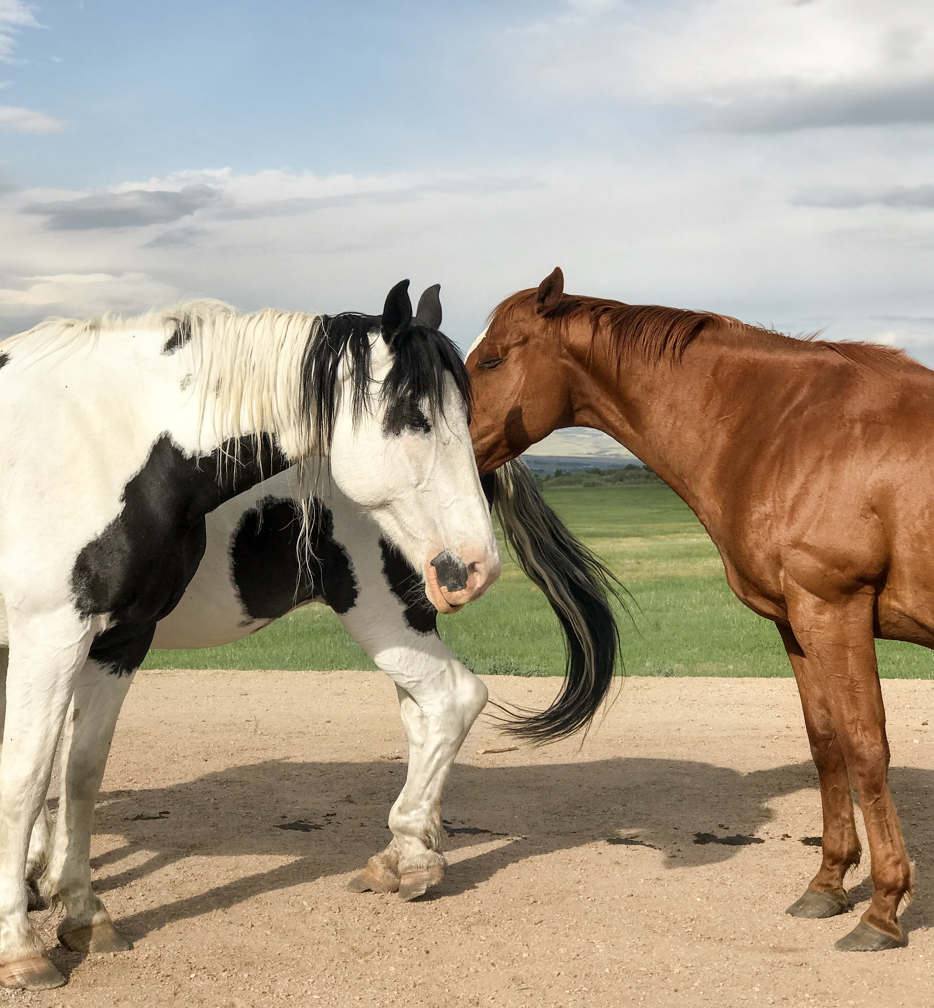 Magee Homestead at Brush Creek Ranch | Saratoga, Wyoming