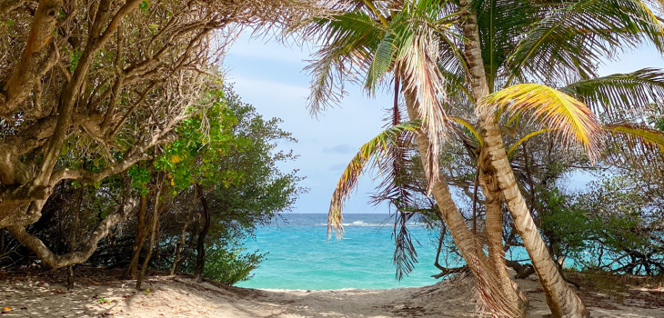 Mustique Macaroni bay