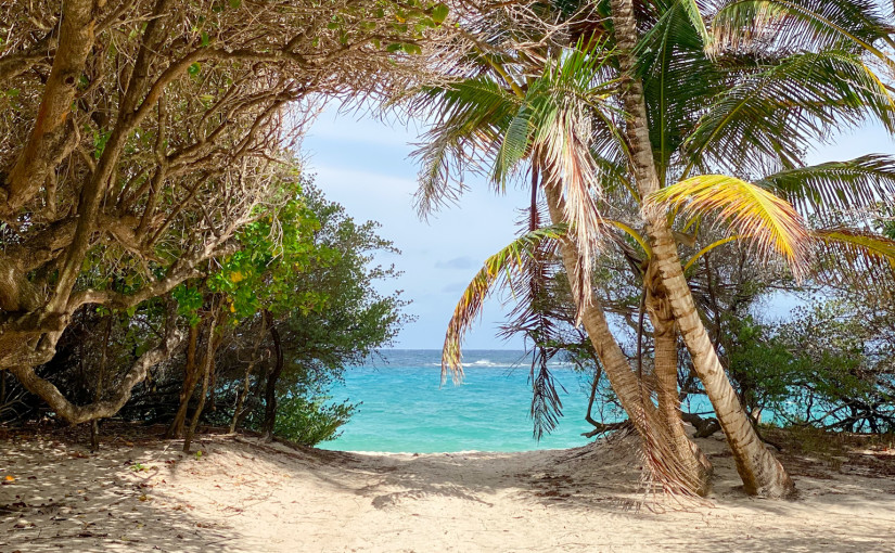 Mustique Macaroni bay