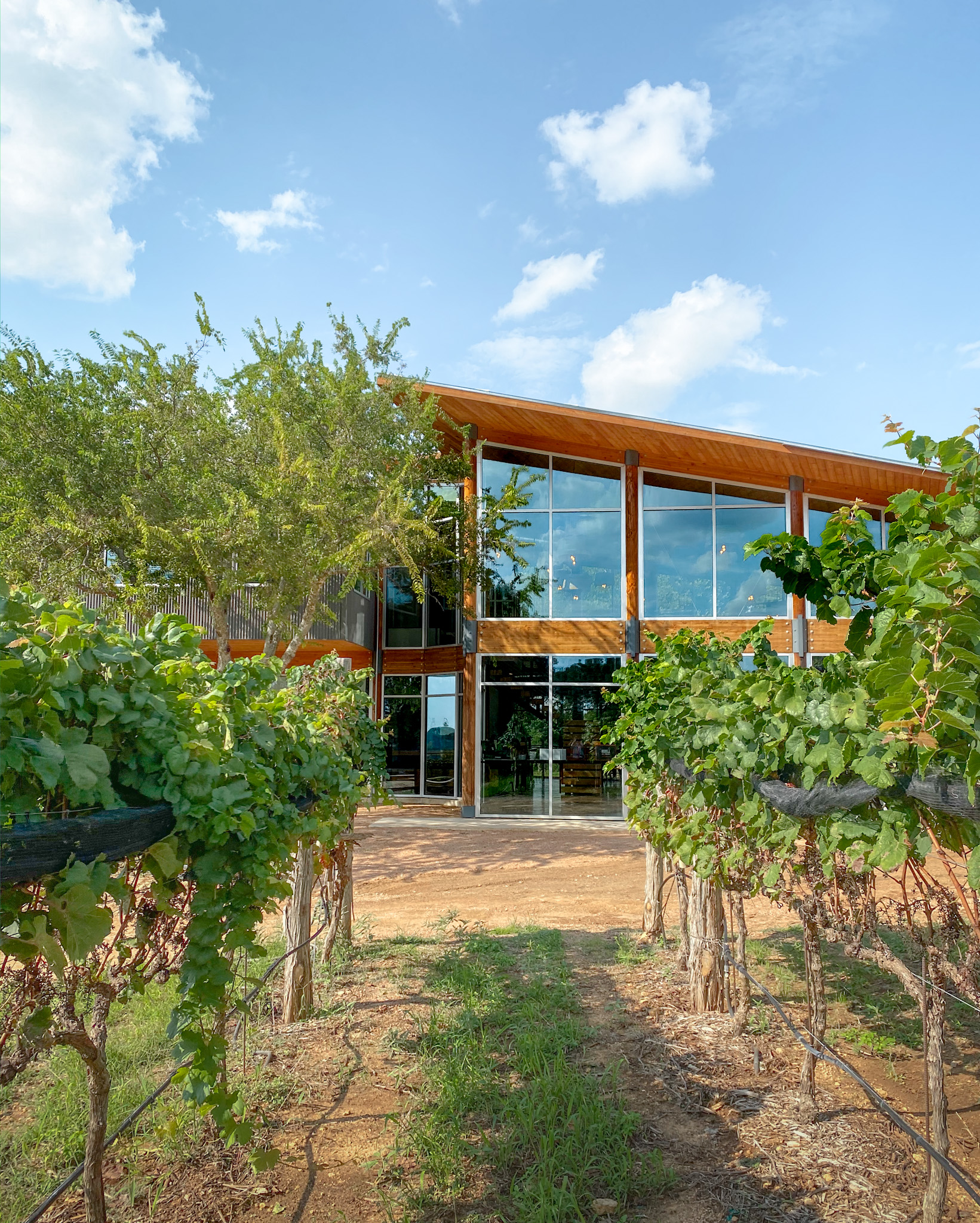 William Chris Winery Vineyards, Texas Hill Country, Things To Do, Fredericksburg