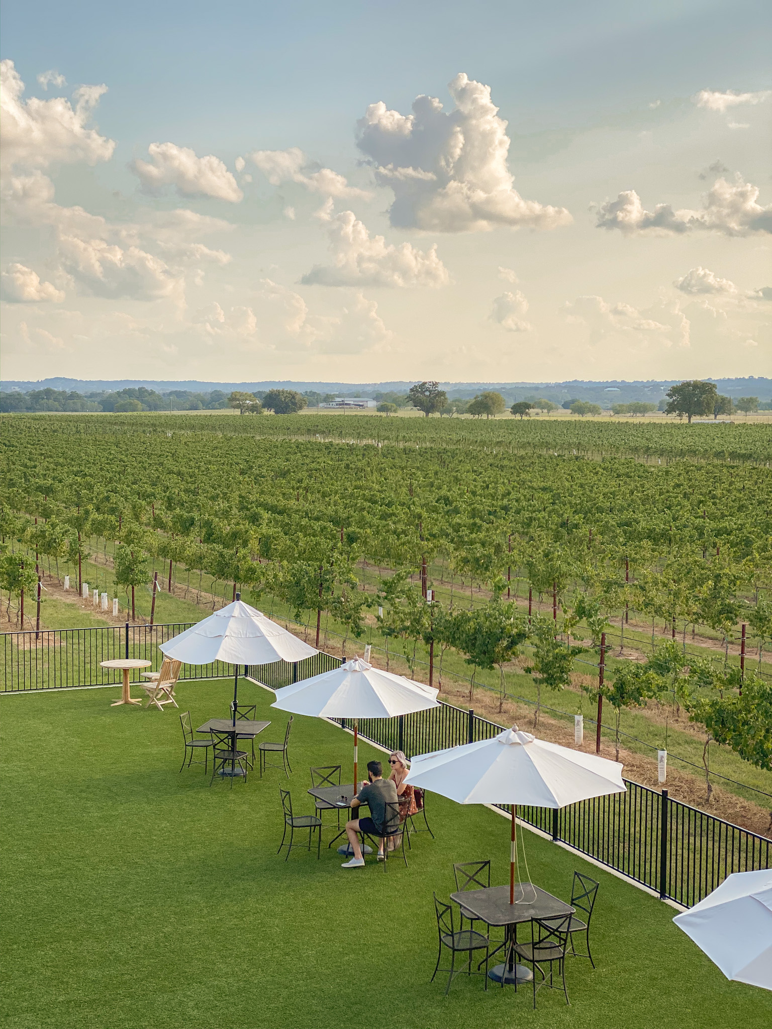 Augusta Vin Winery, Texas Hill Country, Things To Do, Fredericksburg