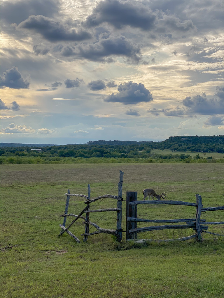 Contigo Ranch, Texas Hill Country, Things To Do, Fredericksburg