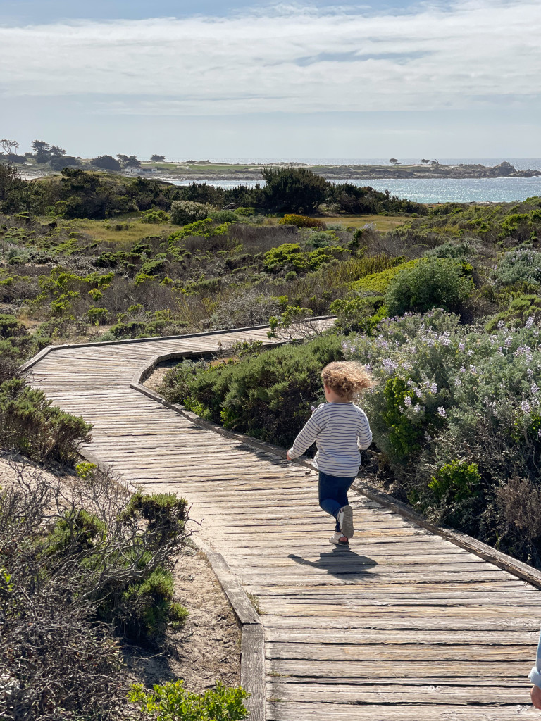 17 Mile Drive Carmel