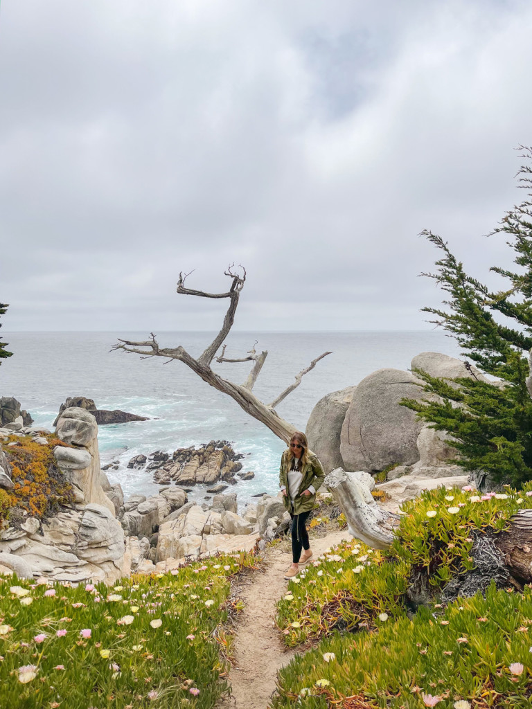 17 Mile Drive Carmel