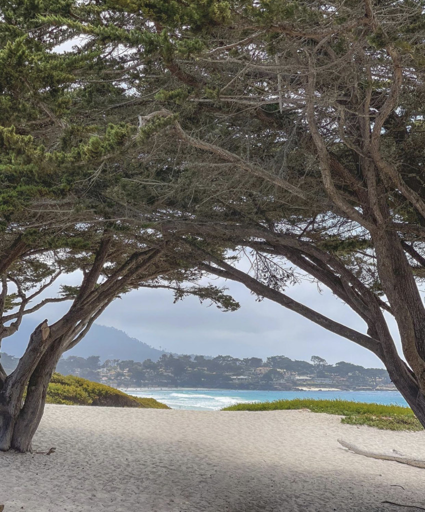 Carmel Beach