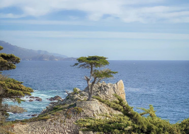 17 Mile Drive Carmel