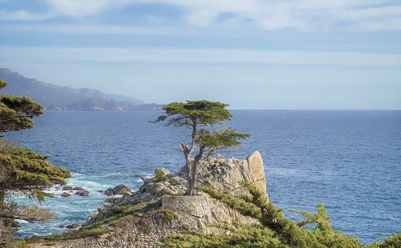 17 Mile Drive Carmel