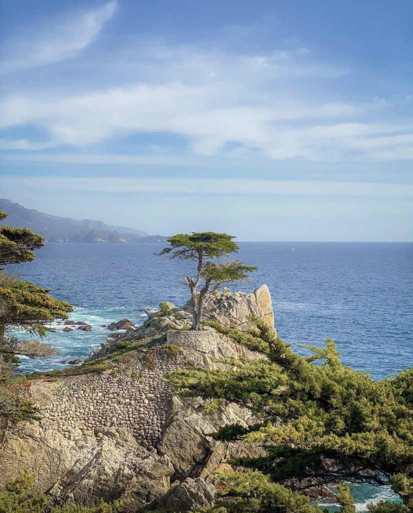 17 Mile Drive Carmel