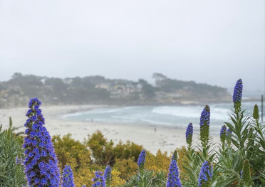 Carmel California