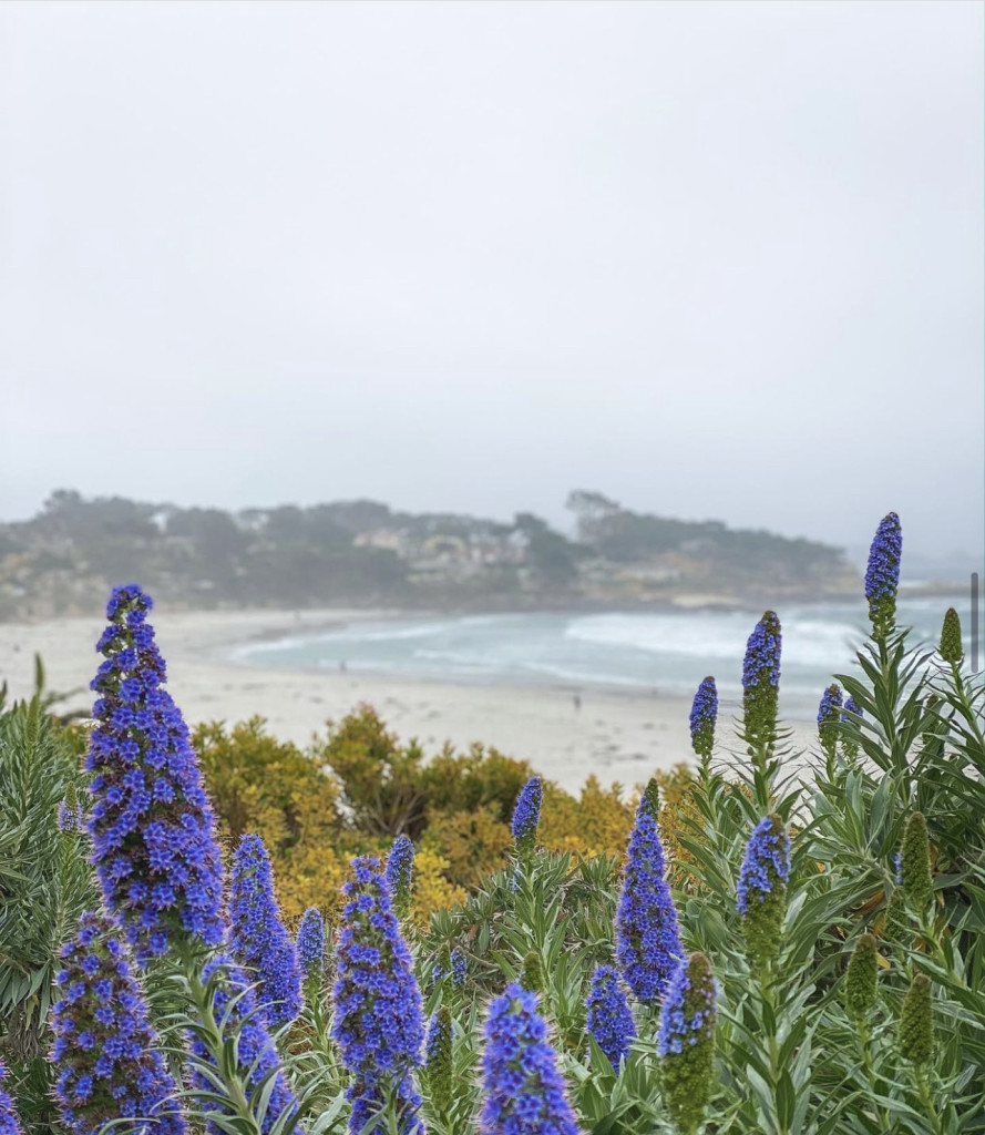 Carmel California