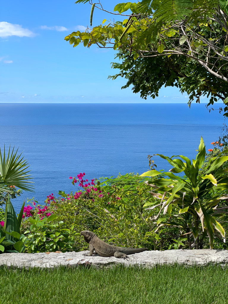 Guana Island, British Virgin Islands, by Compass + Twine